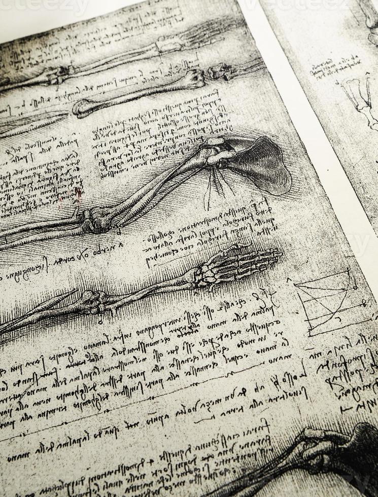 arte de anatomia por leonardo da vinci na exposição médica de kandy foto