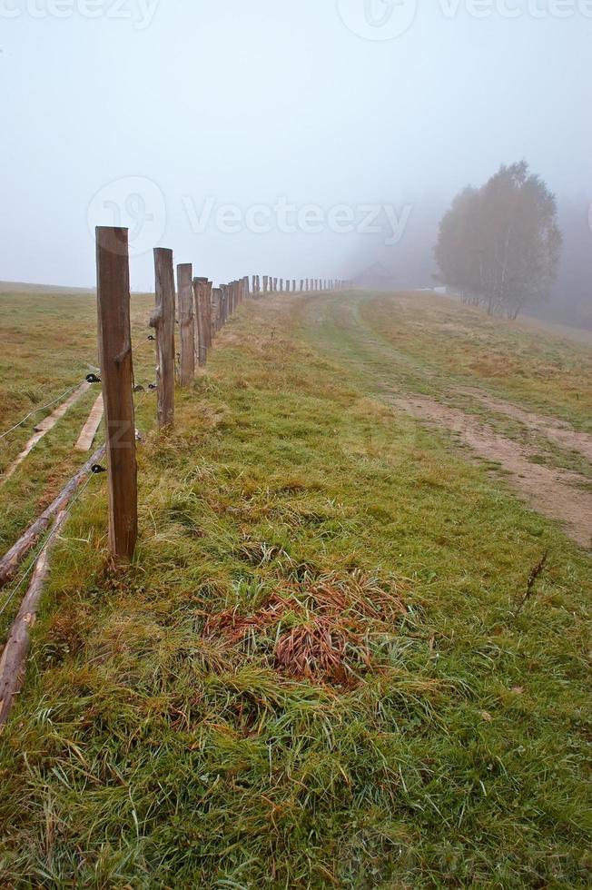 estrada solitária no nevoeiro foto