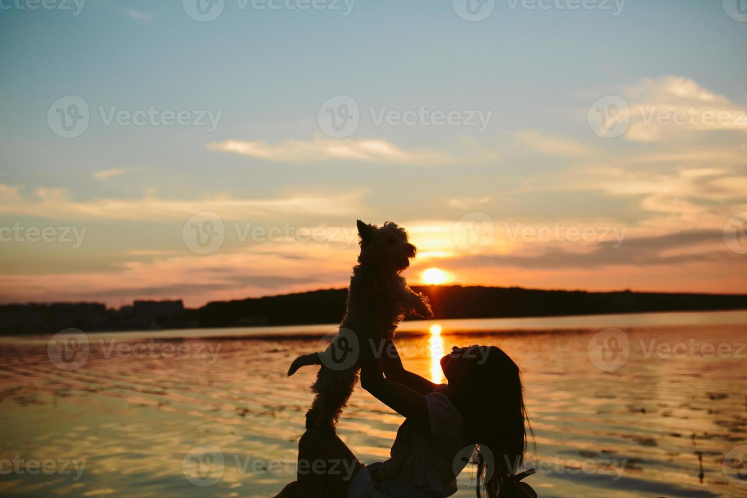 menina e cachorro no lago foto