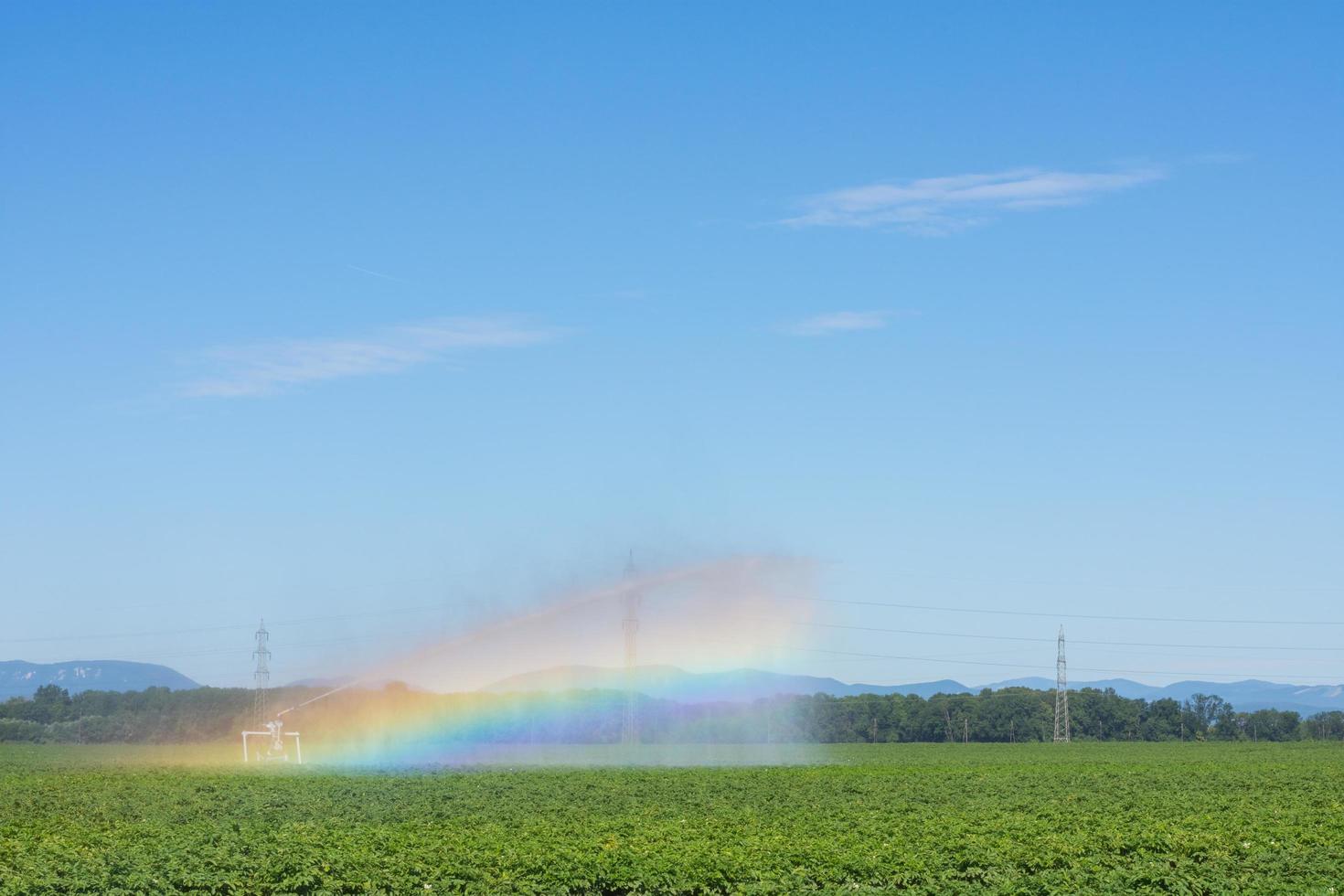 máquina de irrigação em um campo verde em uma paisagem plana com um arco-íris foto