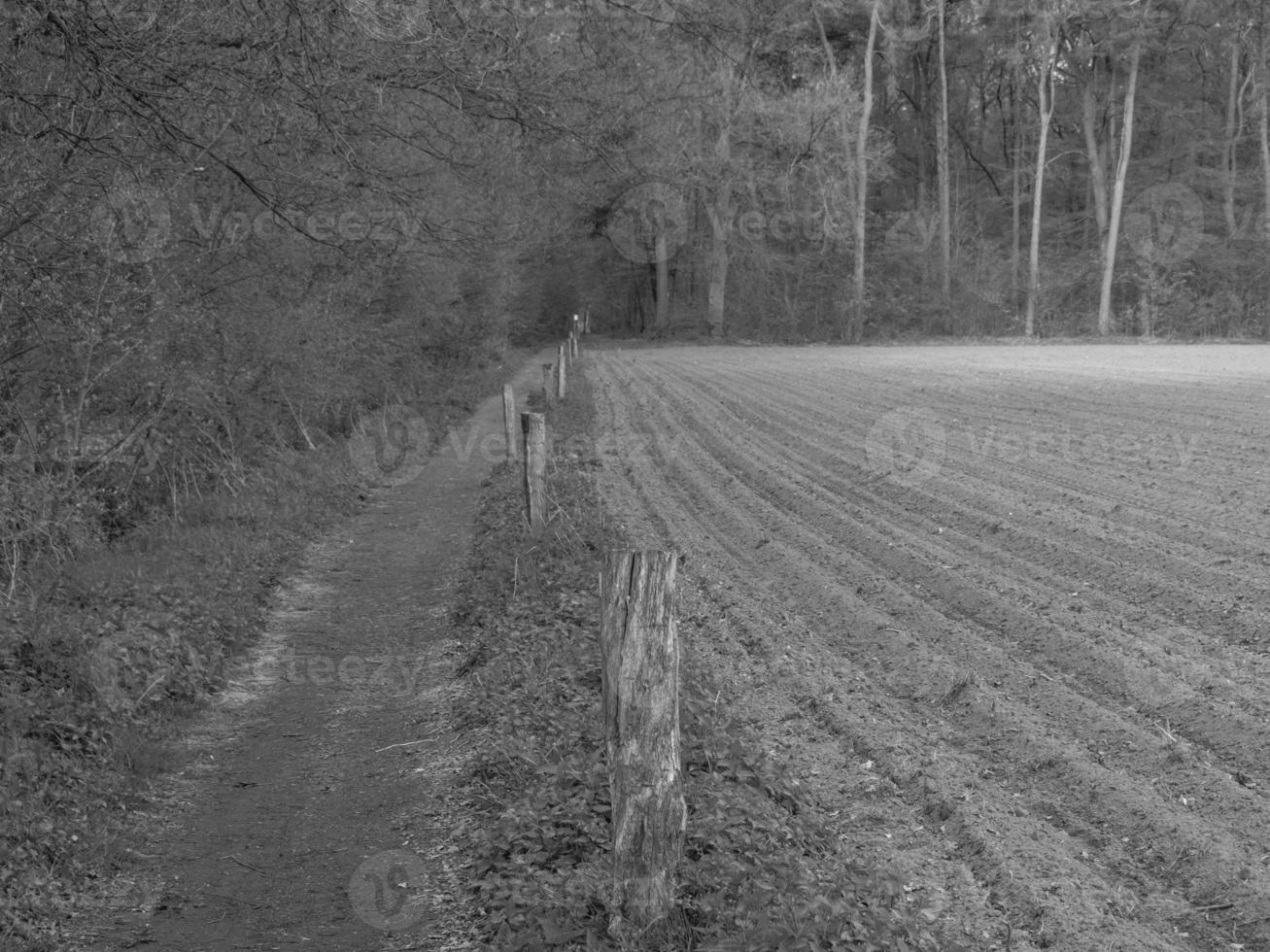 caminhada na Vestfália foto