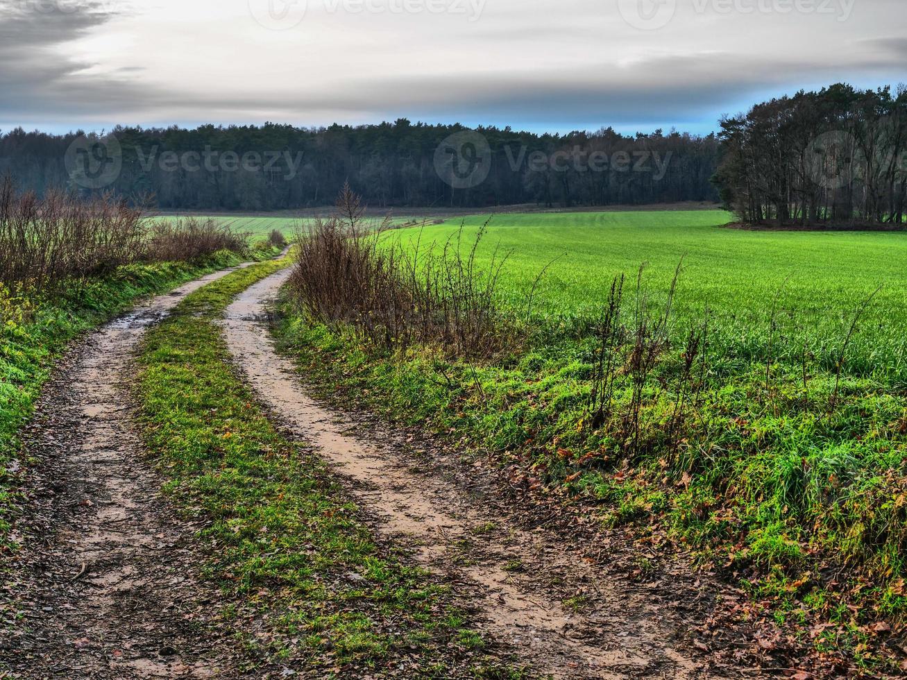 caminhadas perto de reken no muensterland alemão foto