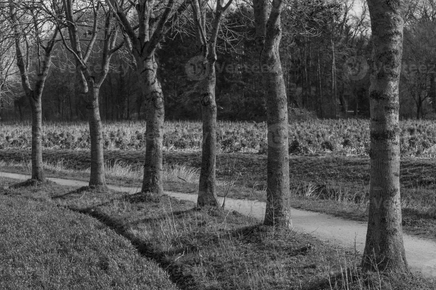 caminhada na Vestfália foto