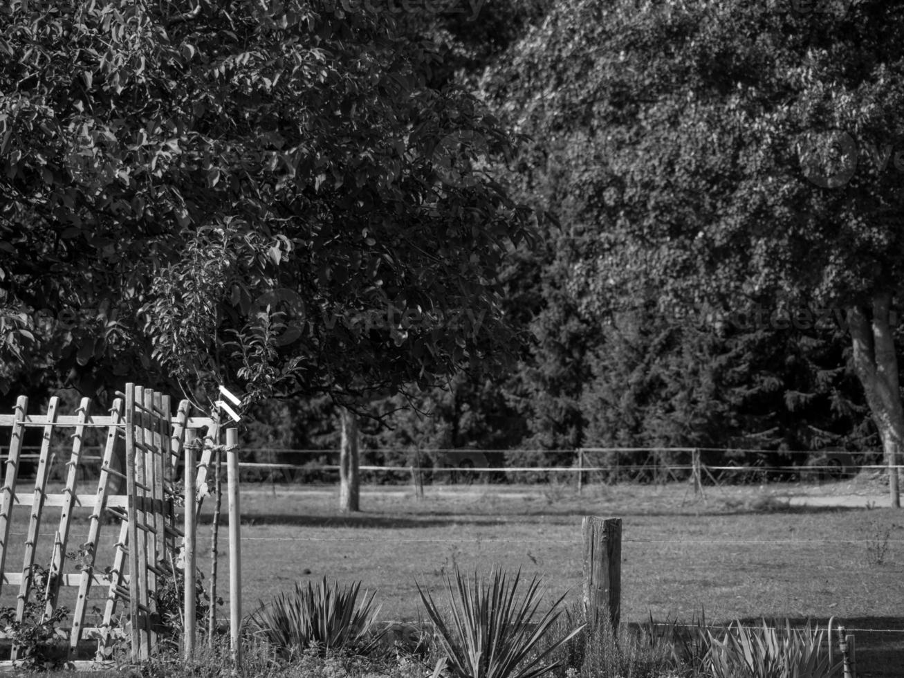 o muensterland alemão foto