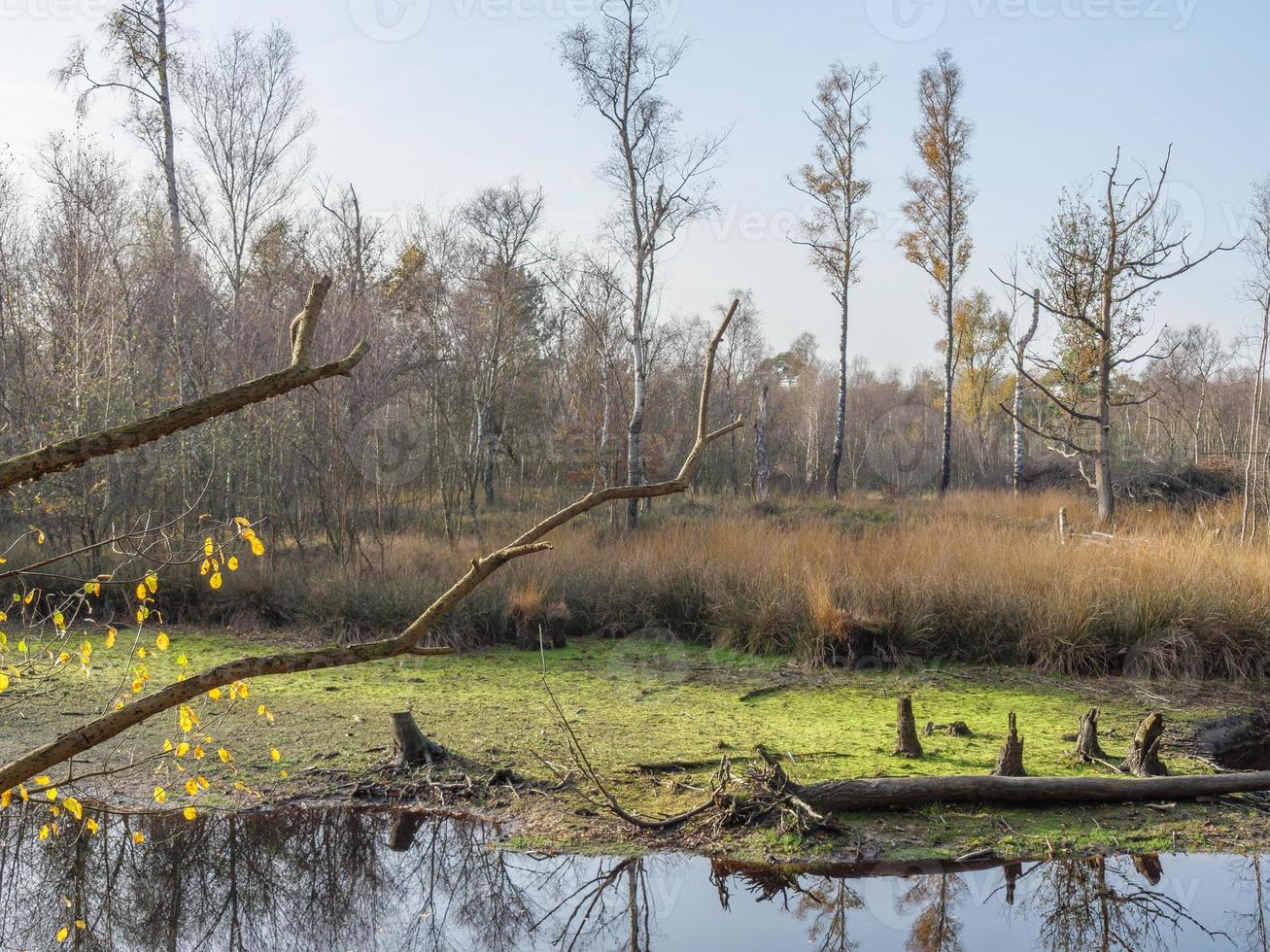 caminhadas perto de burlo na Westphalia foto