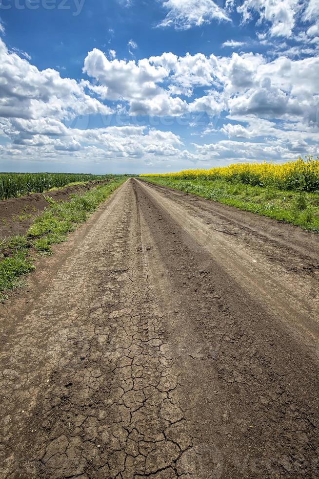 vista panorâmica na estrada rural com rachaduras entre campos de colza e trigo. foto