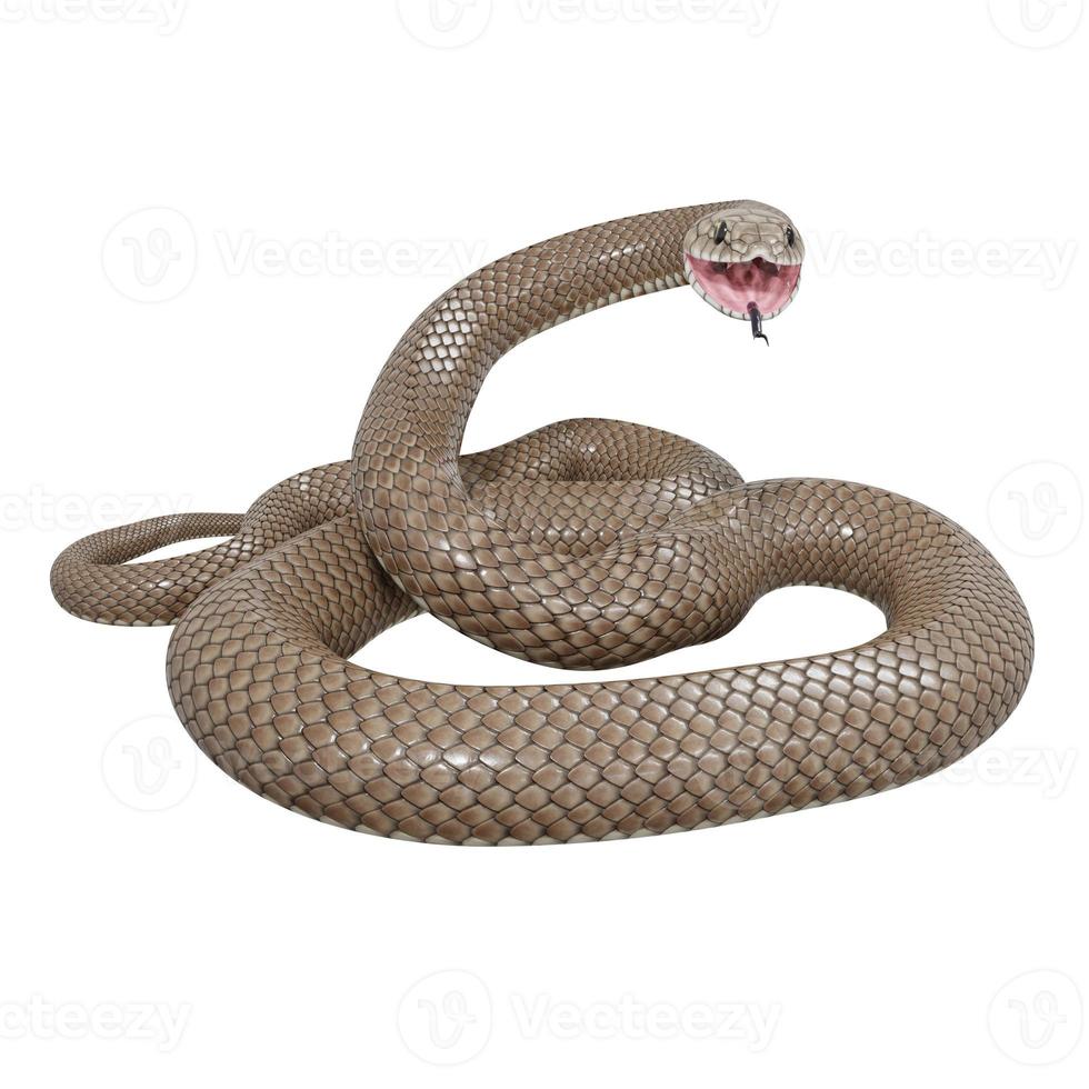 ilustração 3d de cobra marrom oriental. foto