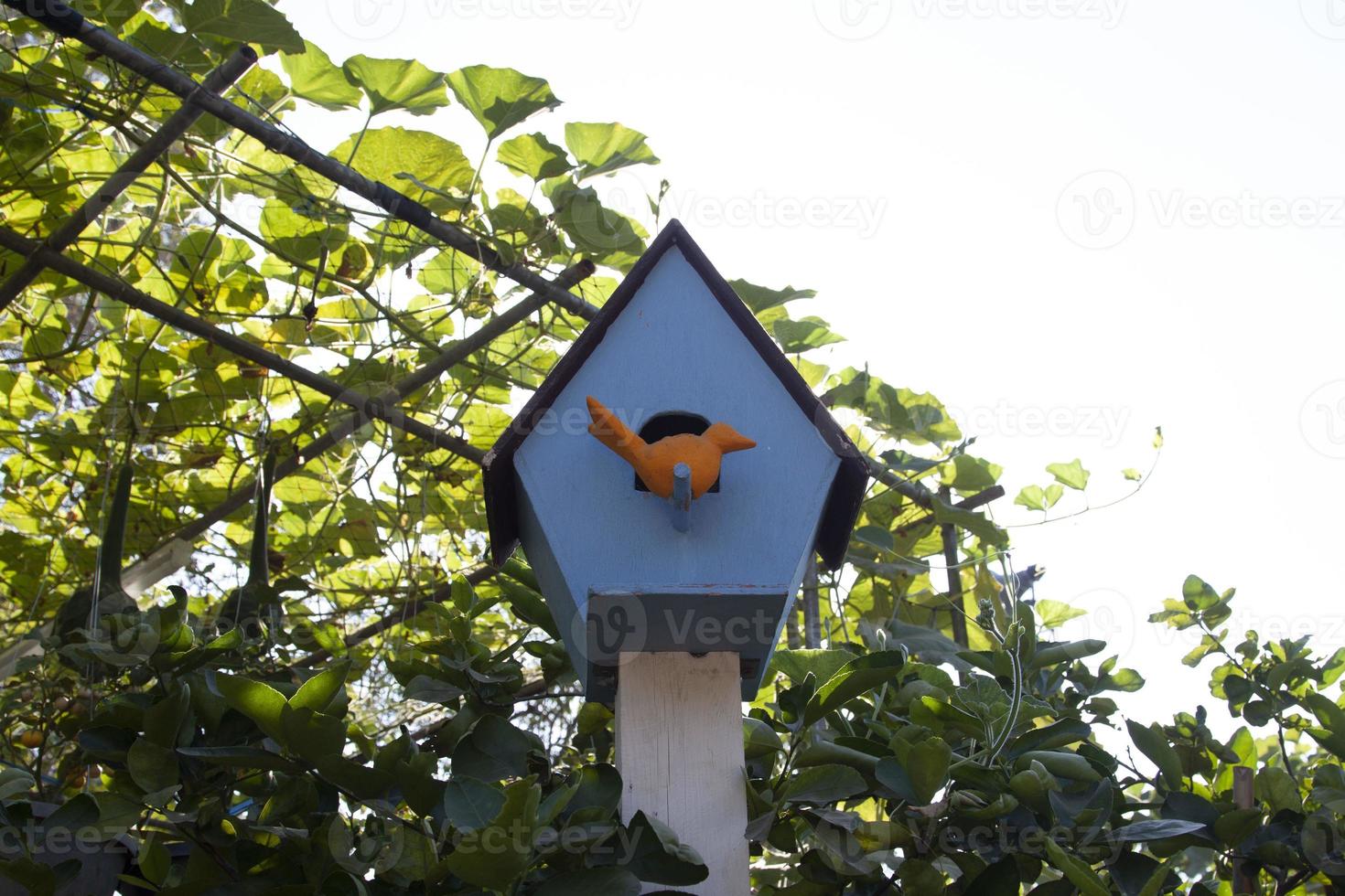 bird house é uma casa de pássaros feita pelo homem para os pássaros viverem e simboliza os pássaros que vivem no jardim do agricultor, construído e modelado para se assemelhar à natureza que permite que os pássaros vivam, construam ninhos foto