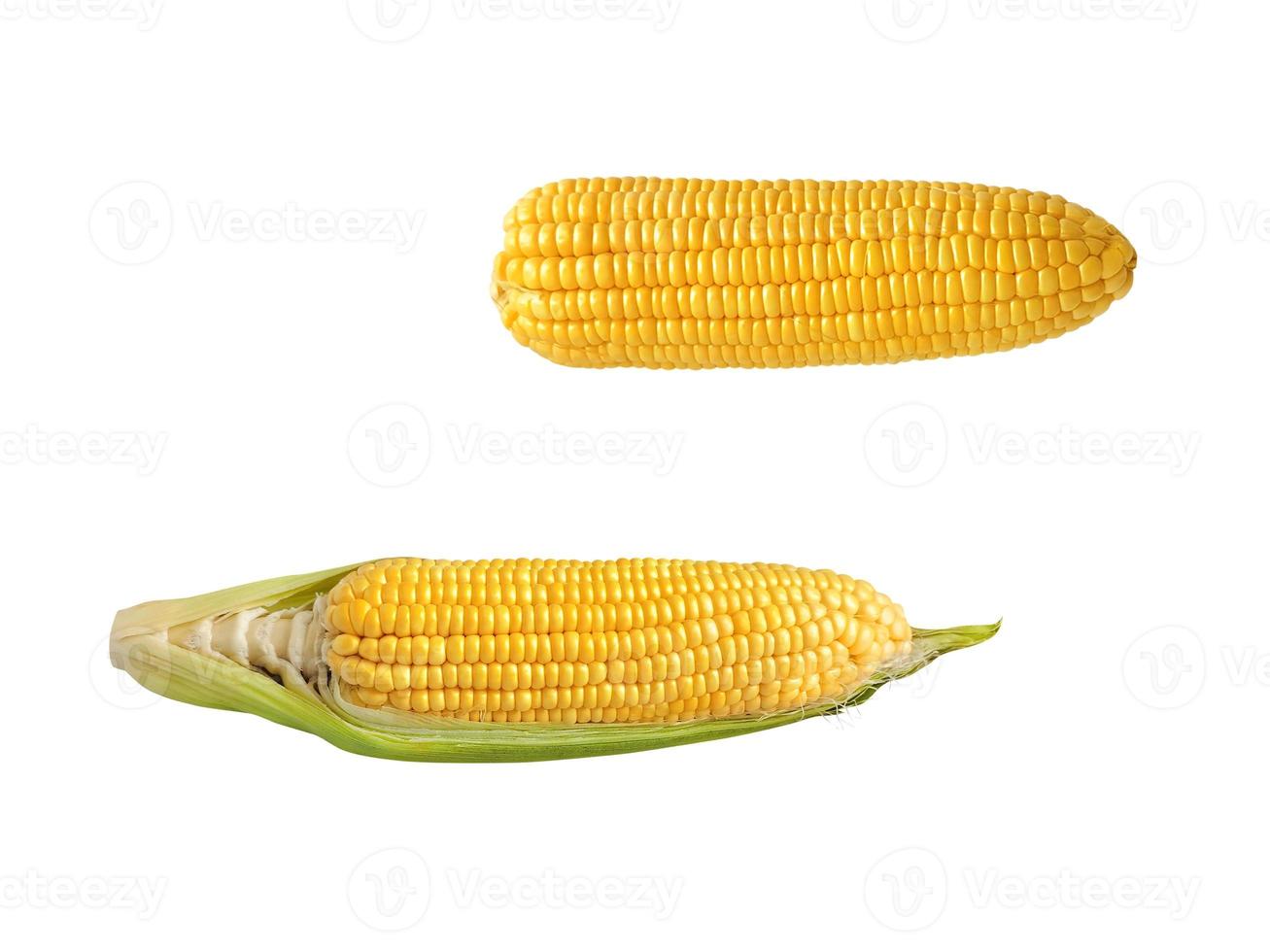 2 espigas de milho em um fundo branco foto