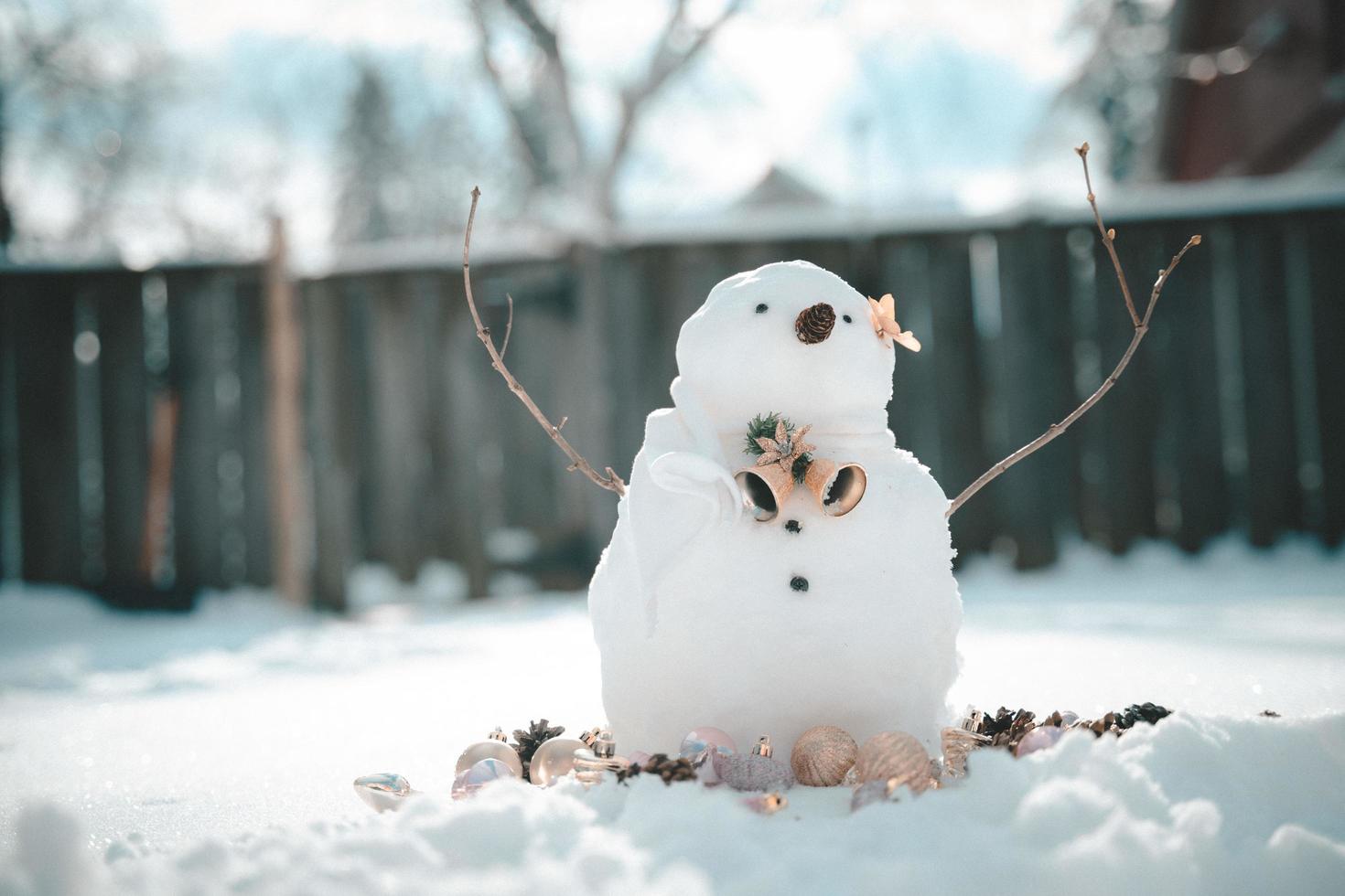 feliz natal e feliz ano novo cartão com cópia-space.many bonecos de neve em pé no inverno natal landscape.winter background.snowman com flores secas e pinheiros. bom feriado e celebração. foto