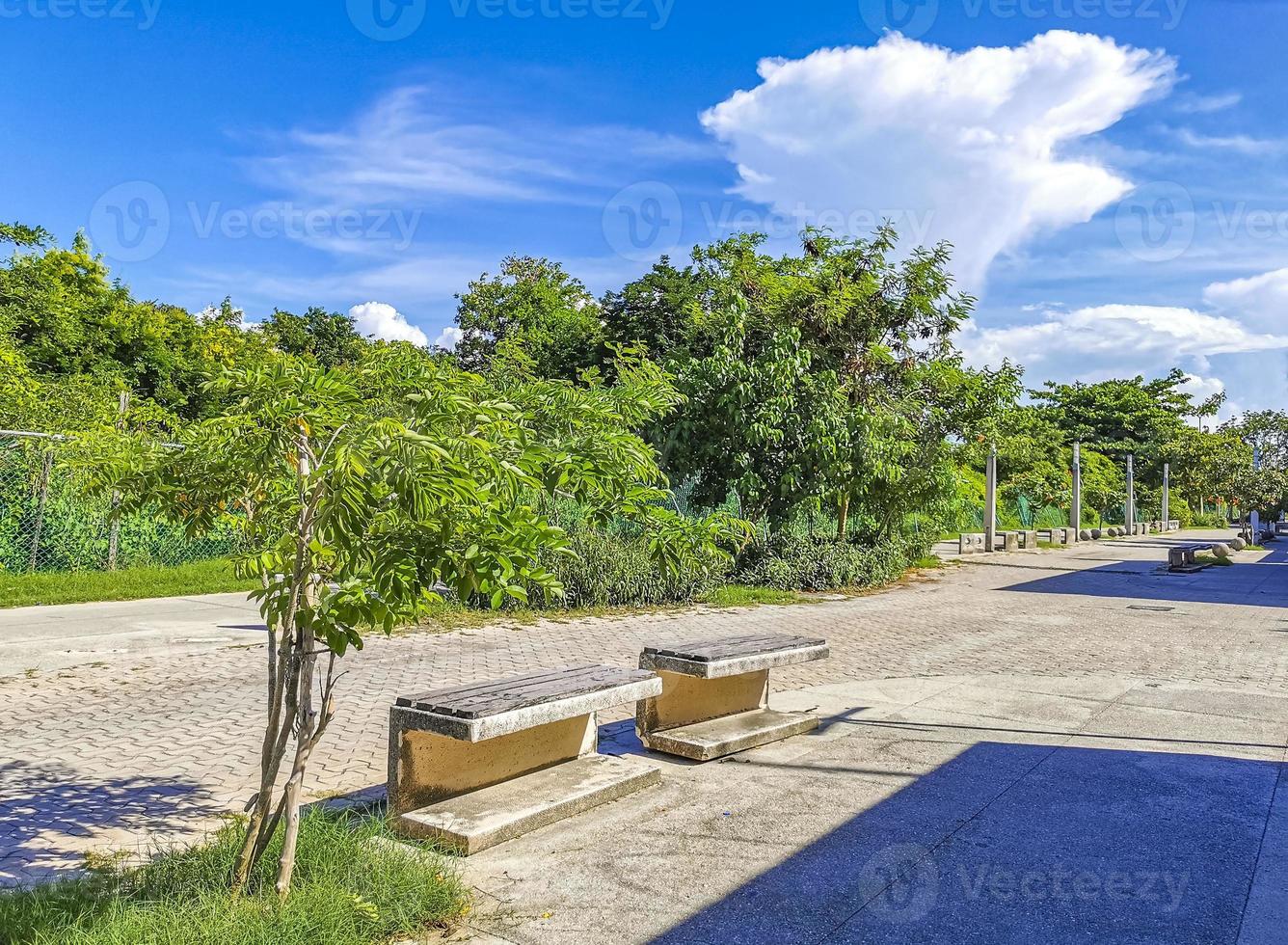 típicas pinturas de parede de paisagem urbana de rua de pedestres playa del carmen méxico. foto