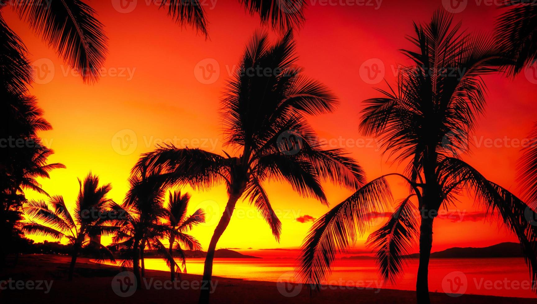 silhuetas de palmeiras em uma praia tropical ao pôr do sol foto