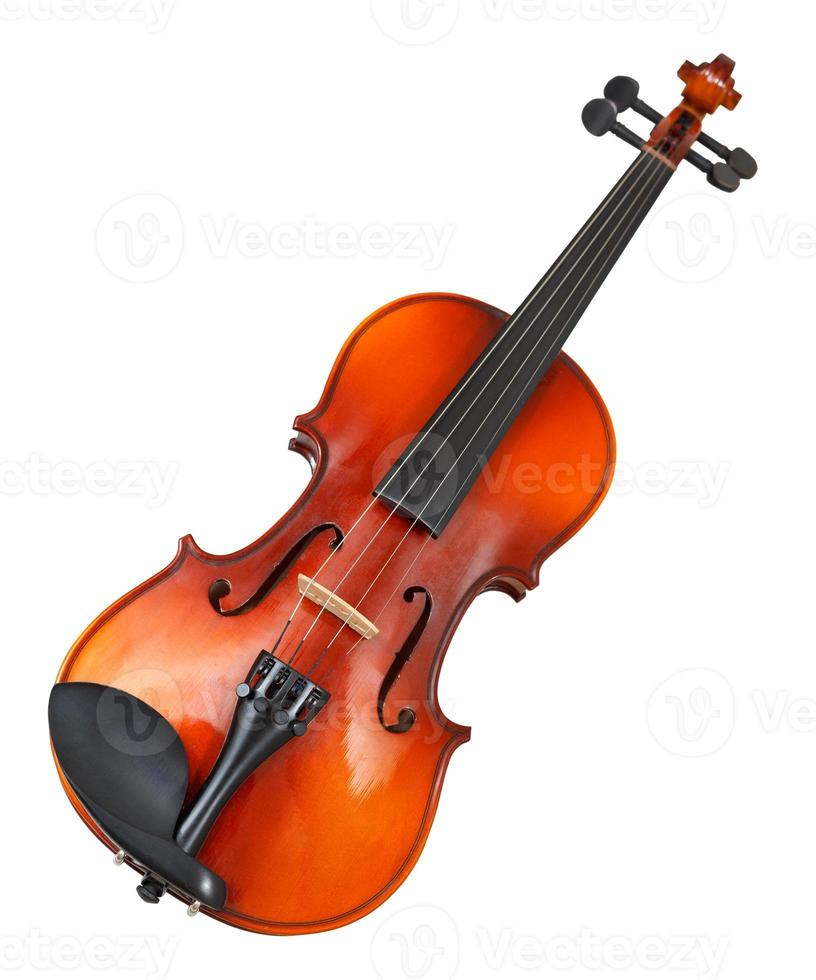 típico violino de madeira isolado no branco foto