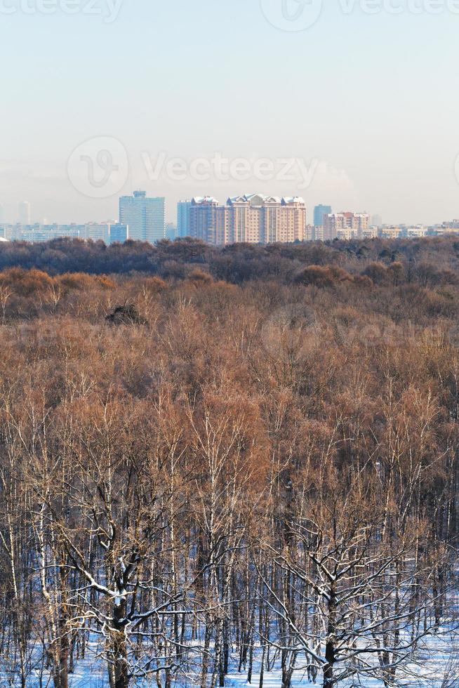 manhã fria ensolarada sobre o parque da cidade no inverno foto