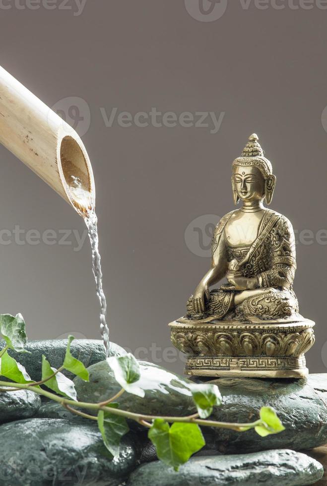relaxamento verde com Buda foto