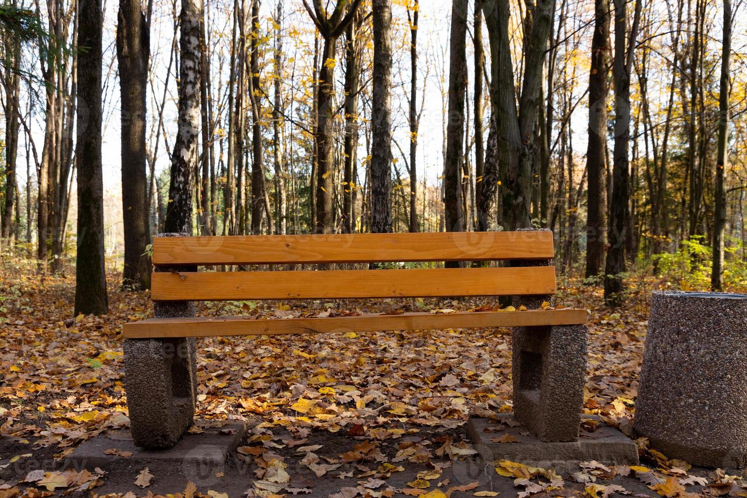 um idílio de outono, um banco de parque solitário aguarda os visitantes. foto