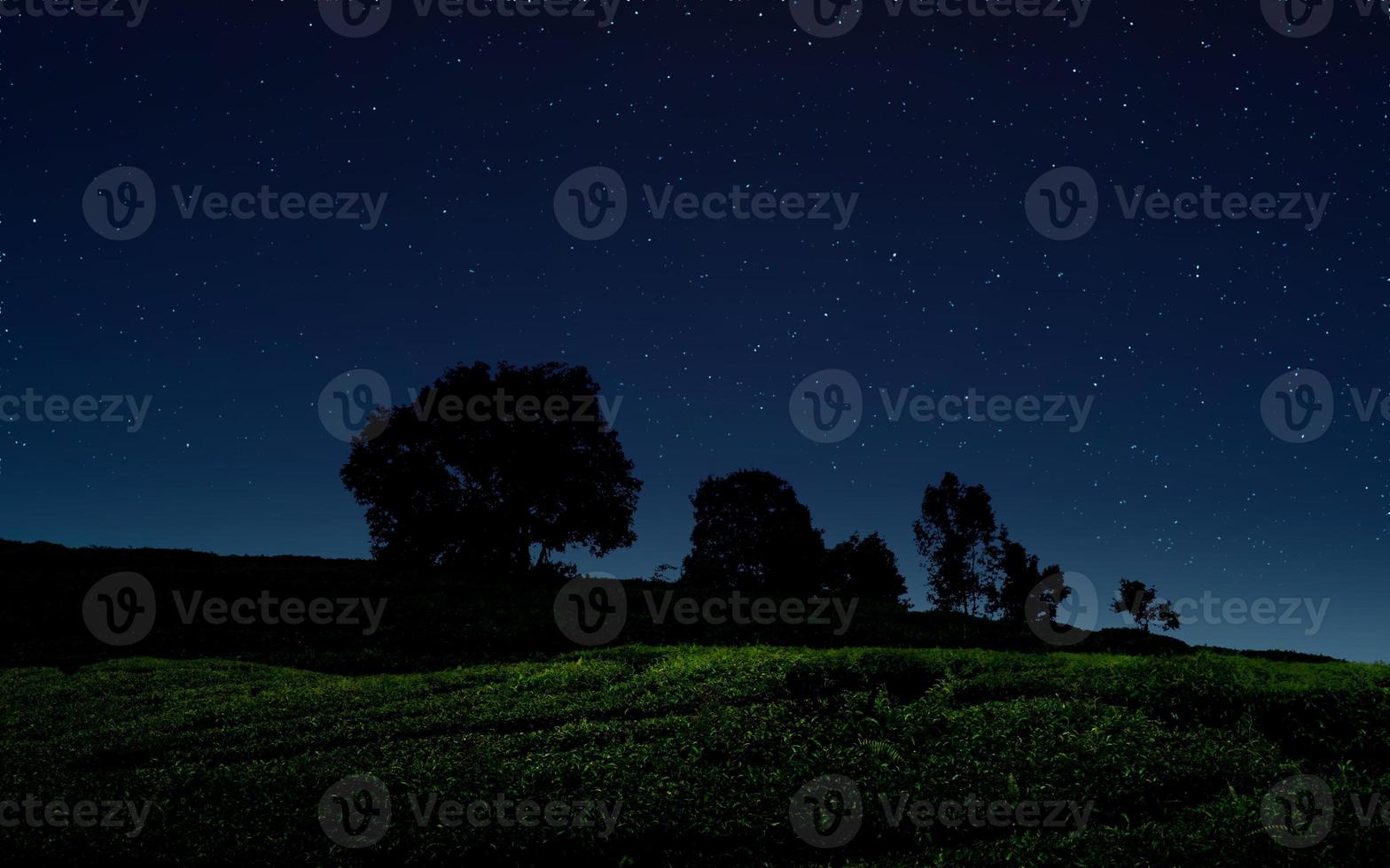 noite estrelada sobre campo verde. foto