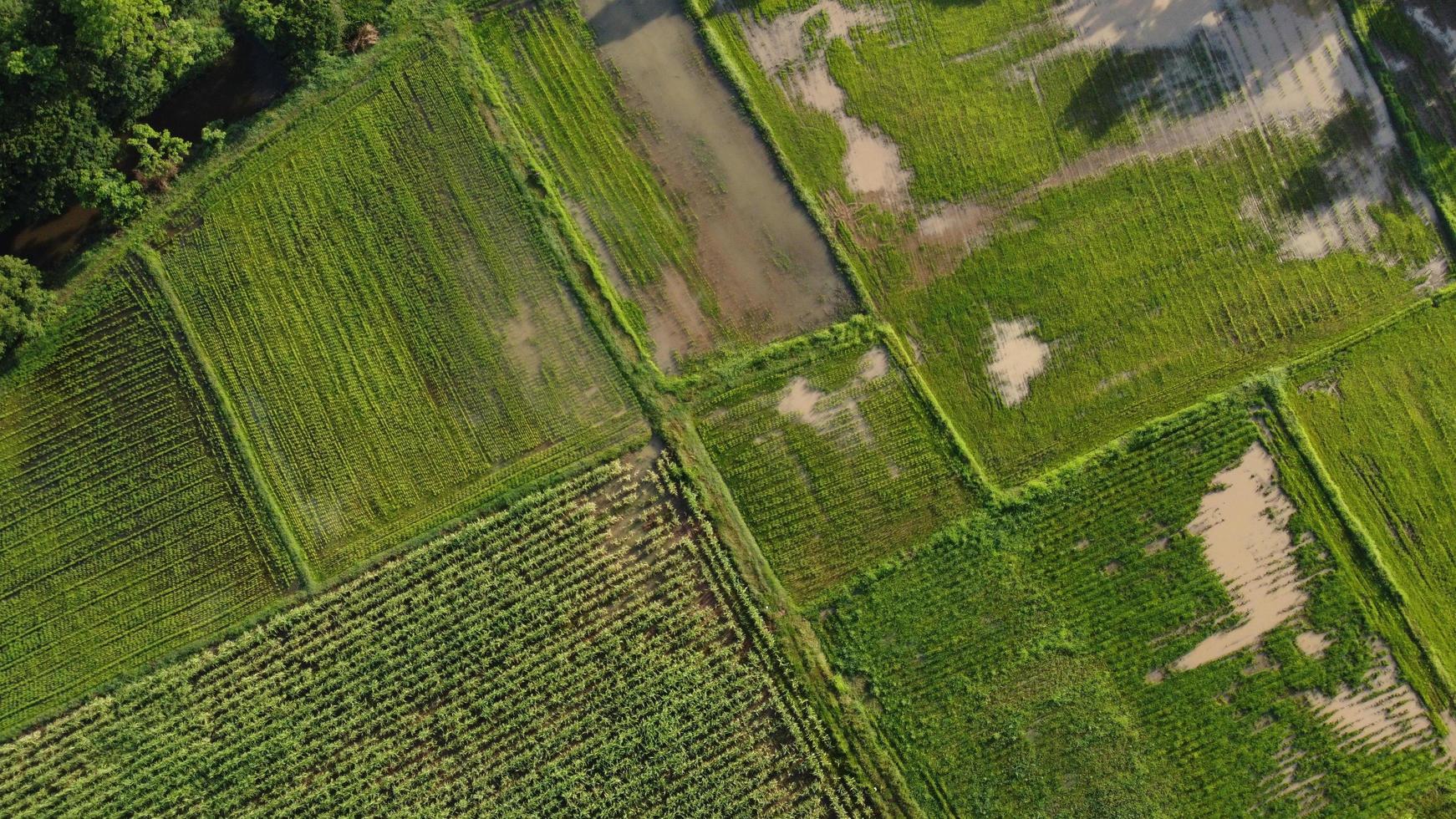 vista aérea da montanha é linda na tailândia foto