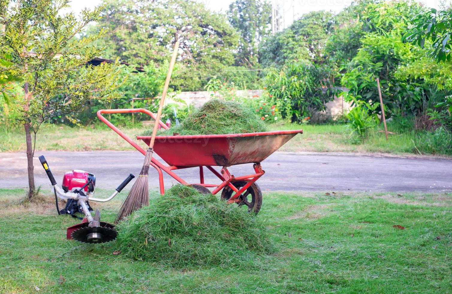 carrinho laranja está embalando grama verde cortada no jardim da frente para descarte, corte, atendimento domiciliar, grama verde. foto