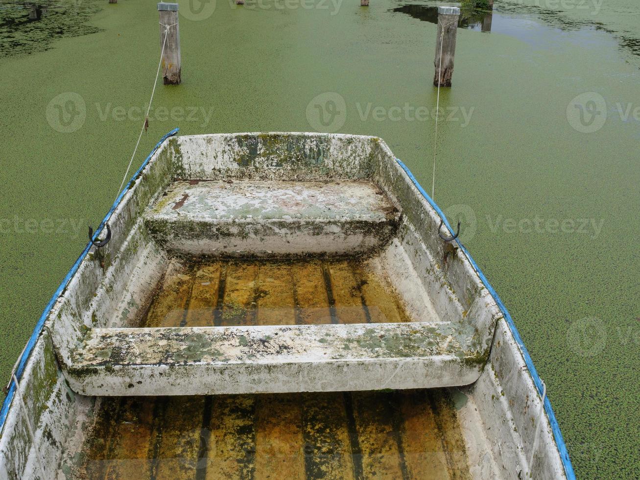 lago perto de borken na Vestfália foto