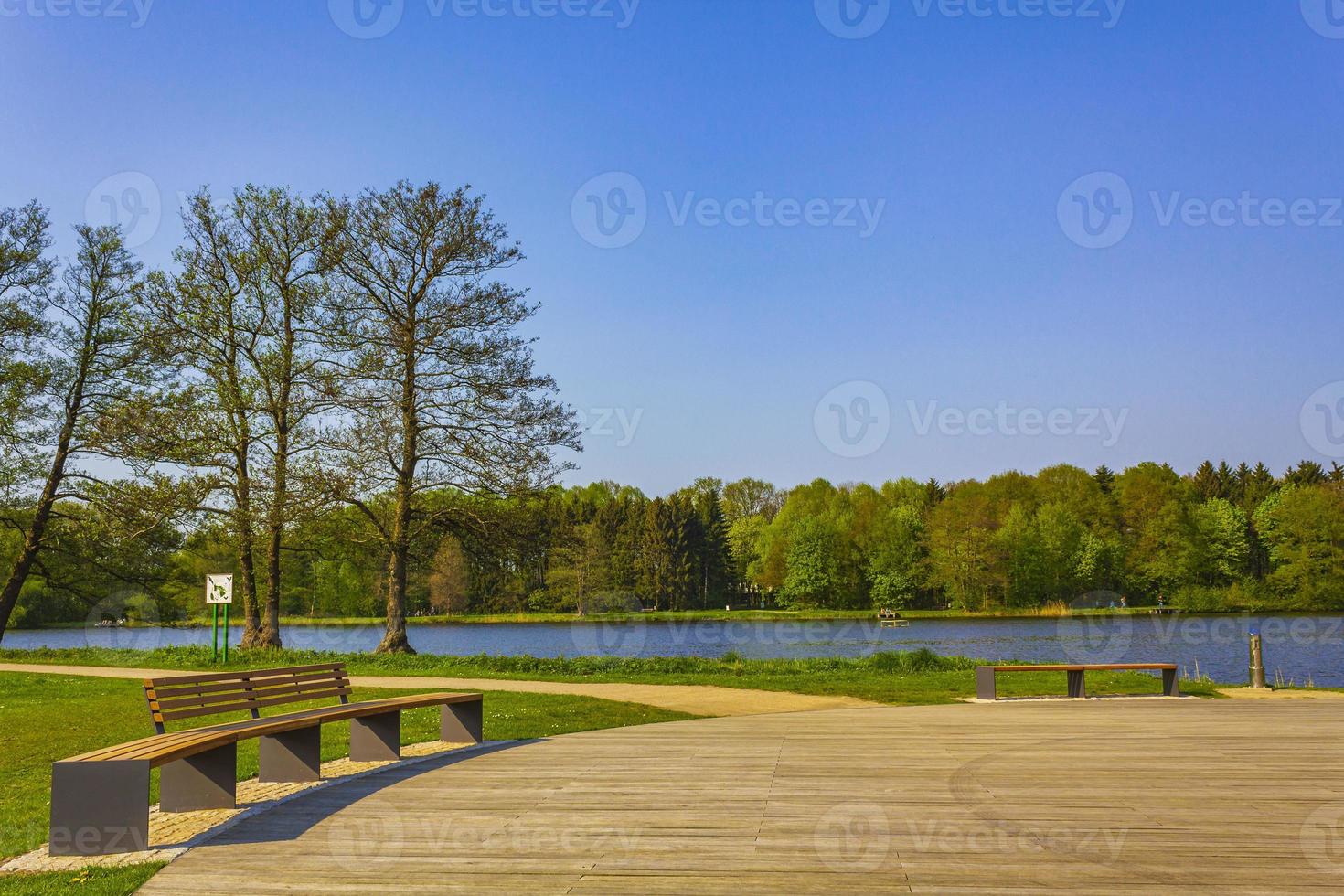 naturais panorama visualize lago trajeto verdes plantas árvores florestal germany. foto