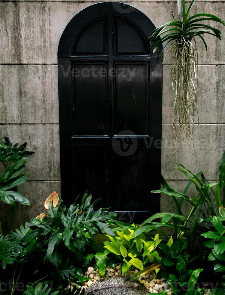 parede do jardim e porta antiga, a entrada está cheia de plantas, sinta-se no meio da natureza na floresta tropical, conceito de terapia da natureza. foto