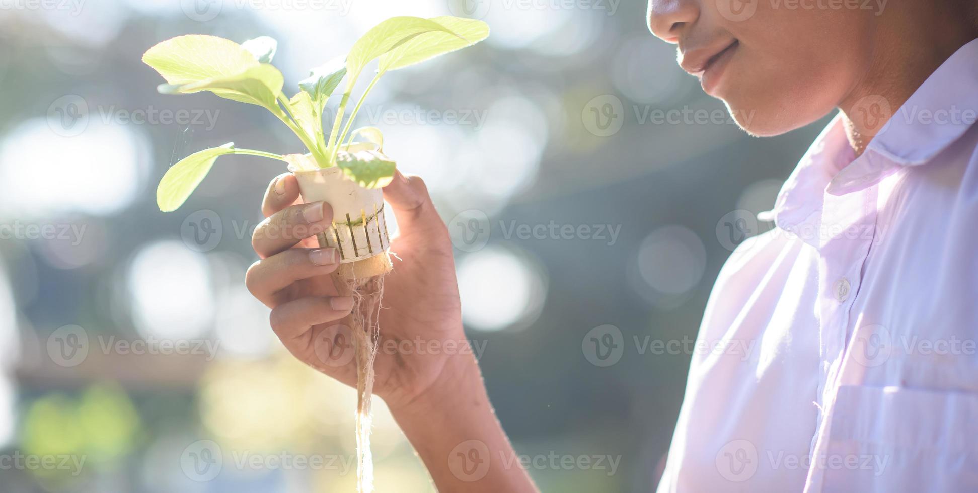 hidroponia, legumes orgânicos frescos colhidos, mãos de agricultores segurando legumes frescos. foto