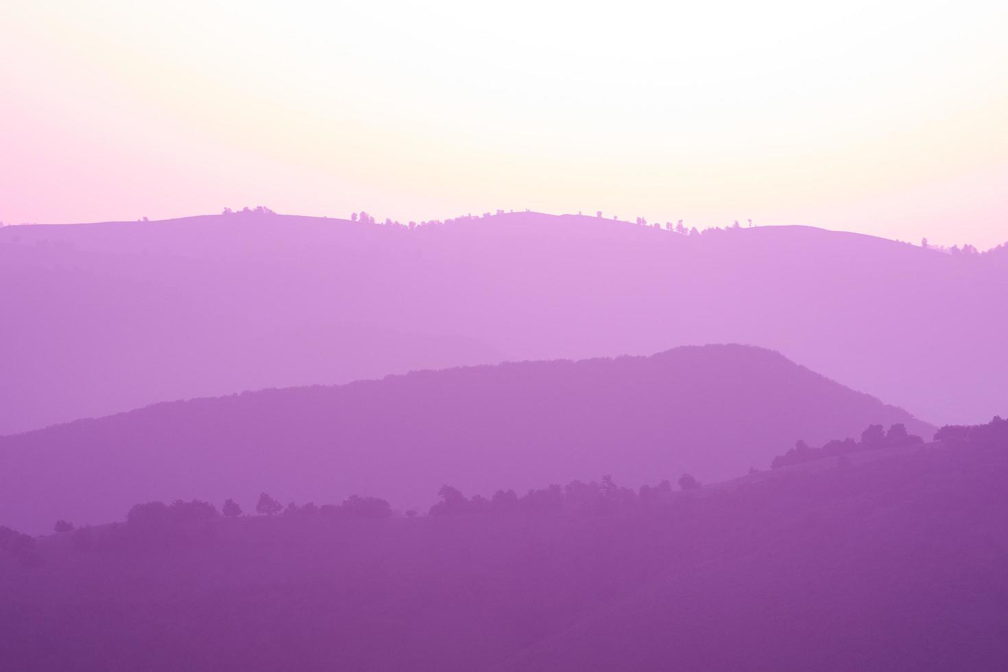 paisagem de verão roxo ultravioleta foto