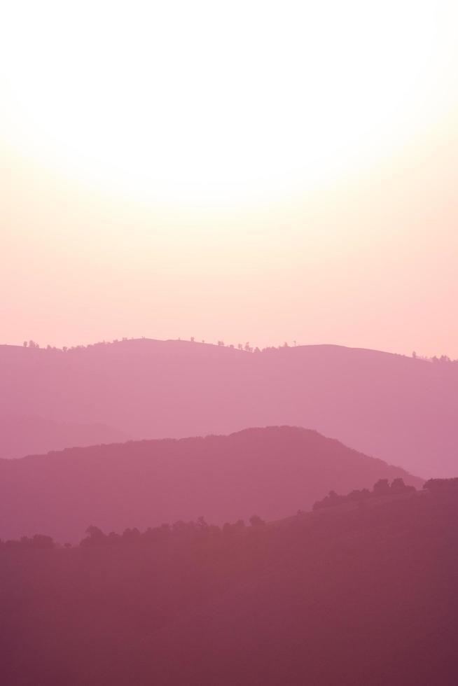 paisagem de verão roxo ultravioleta foto