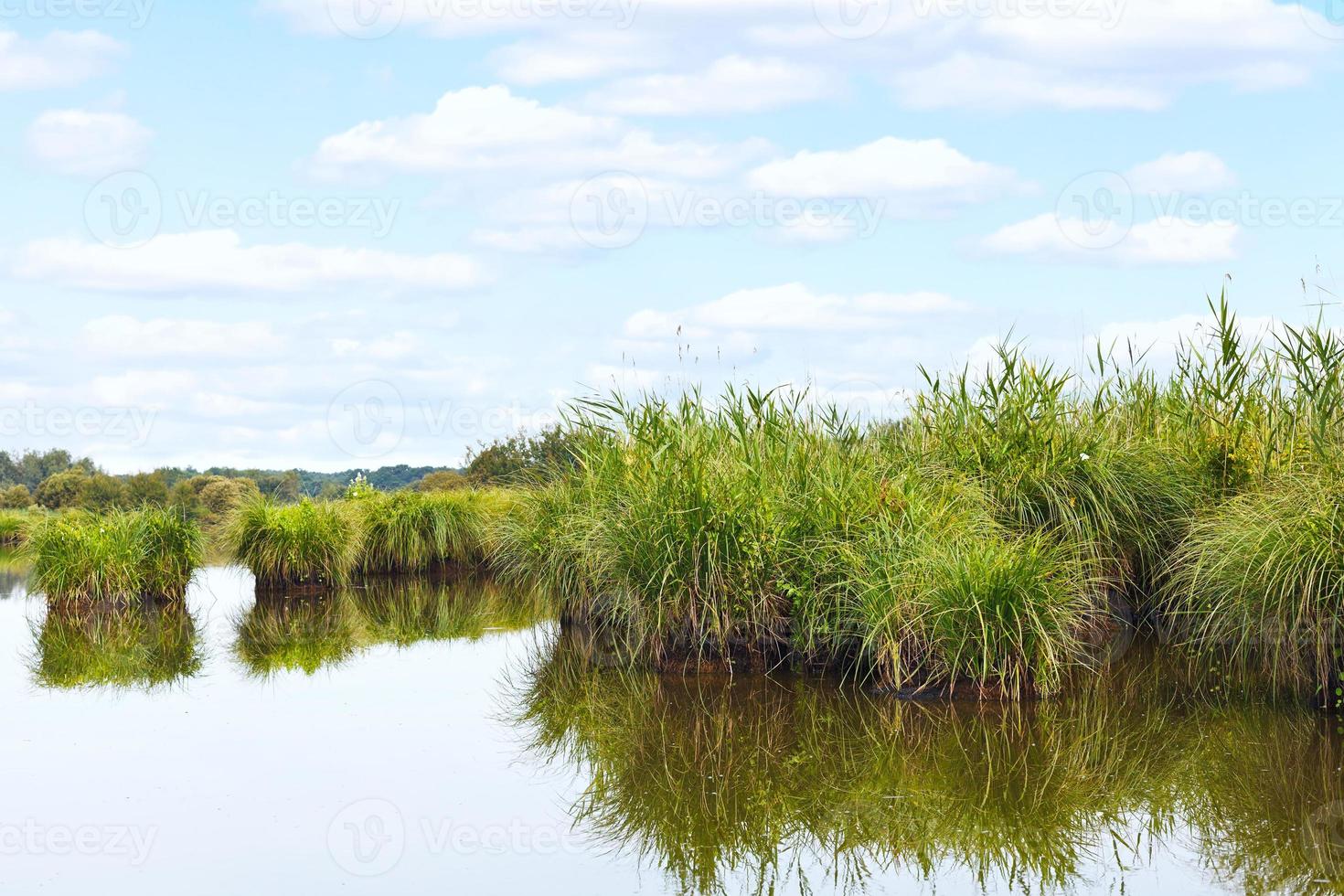 muitas ilhas verdes em briere marsh, frança foto