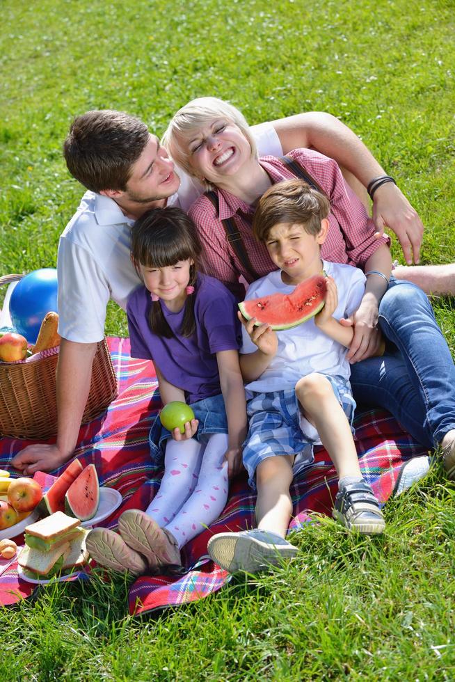 família feliz jogando juntos em um piquenique ao ar livre foto