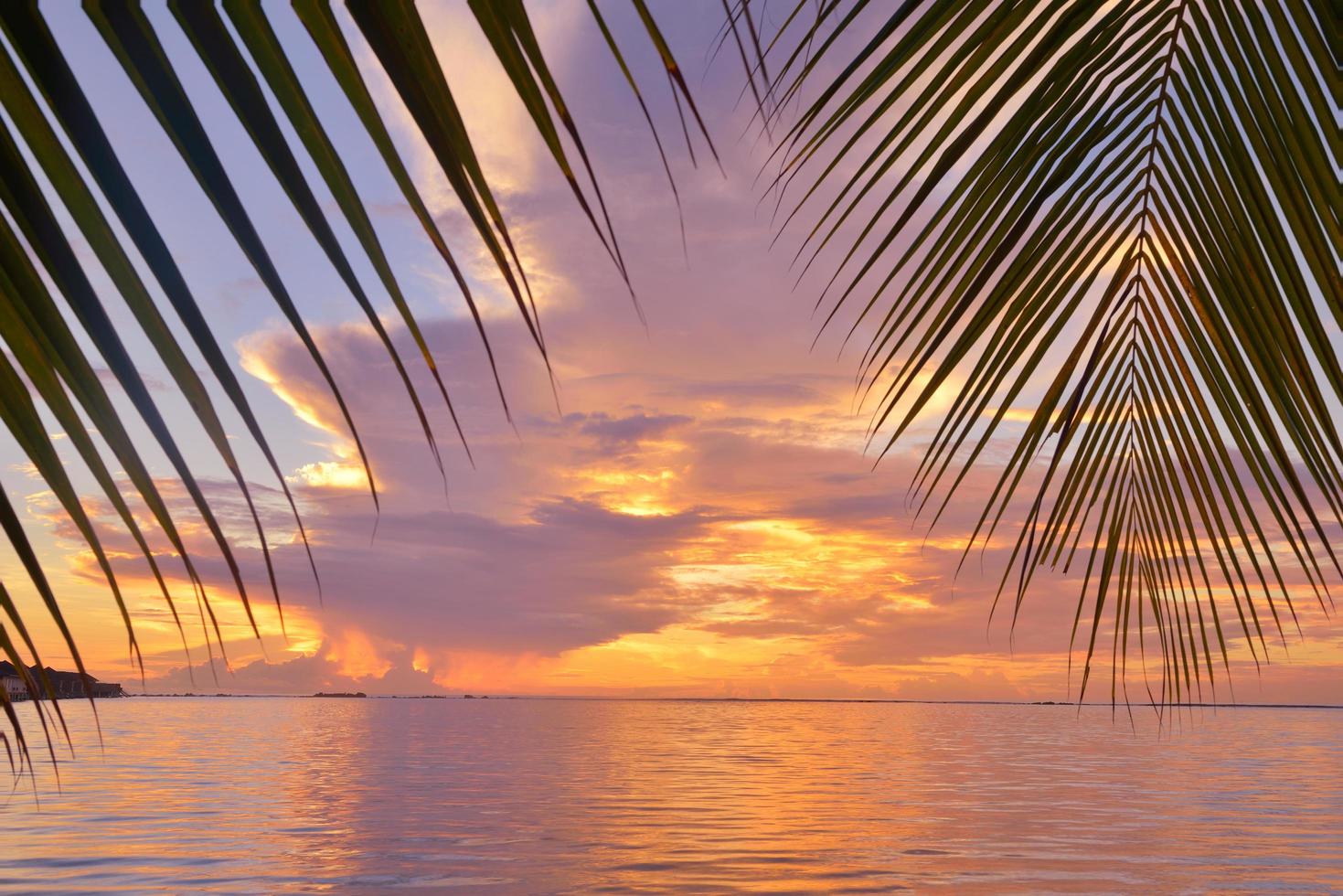 pôr do sol na praia tropical foto