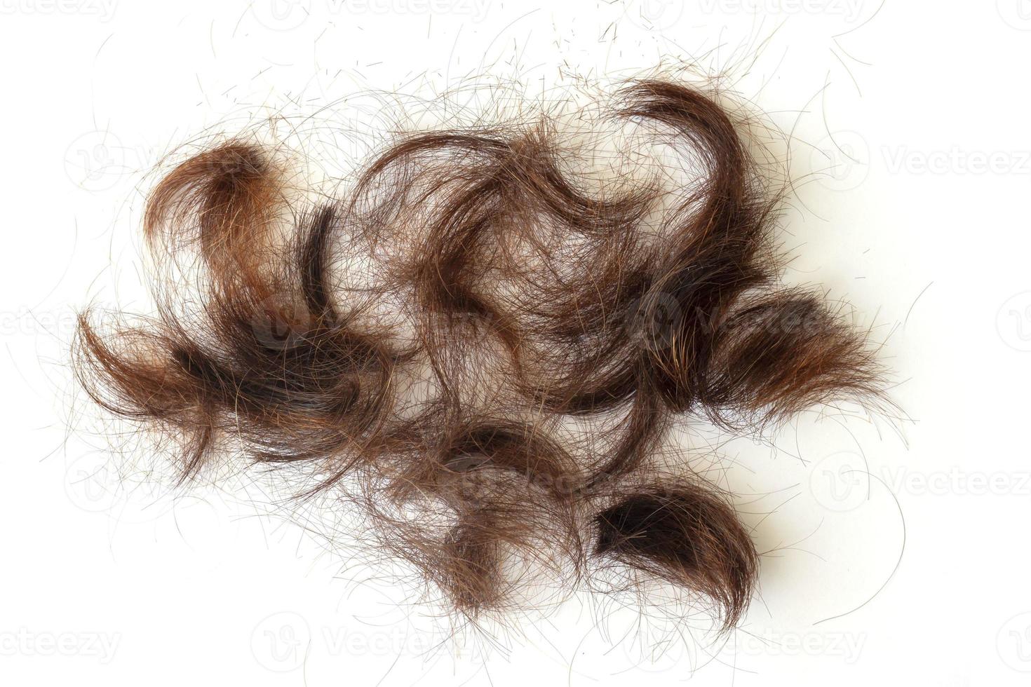 corte o cabelo castanho seco e pontas duplas na barbearia isolada no fundo branco. foto