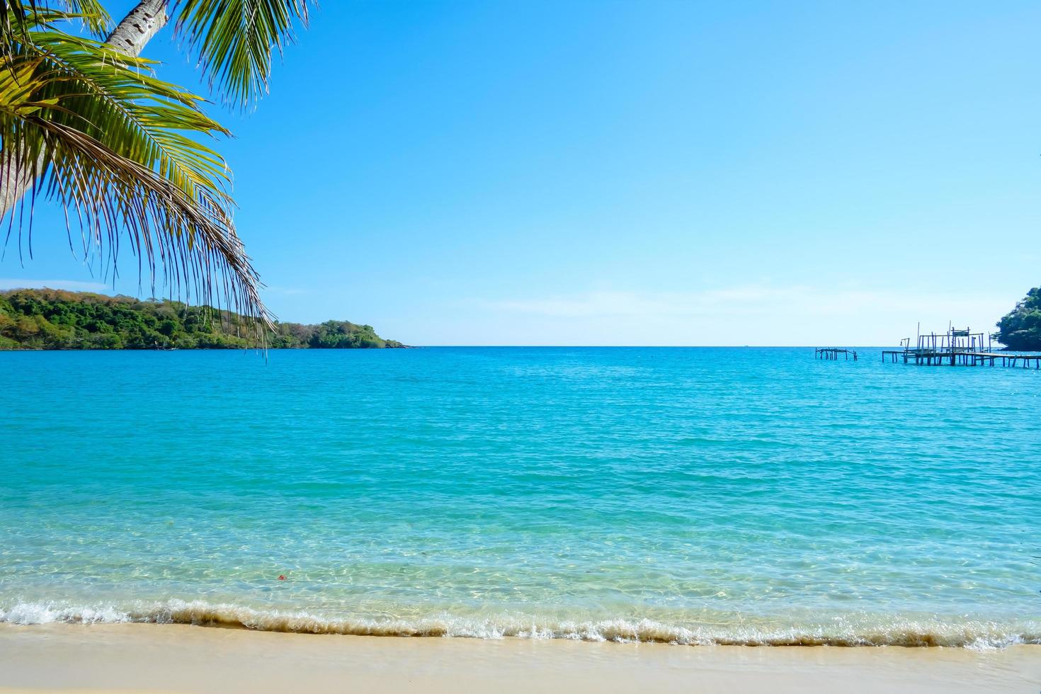 bela praia tropical com palmeira e céu azul para viajar nas férias relaxar no verão foto