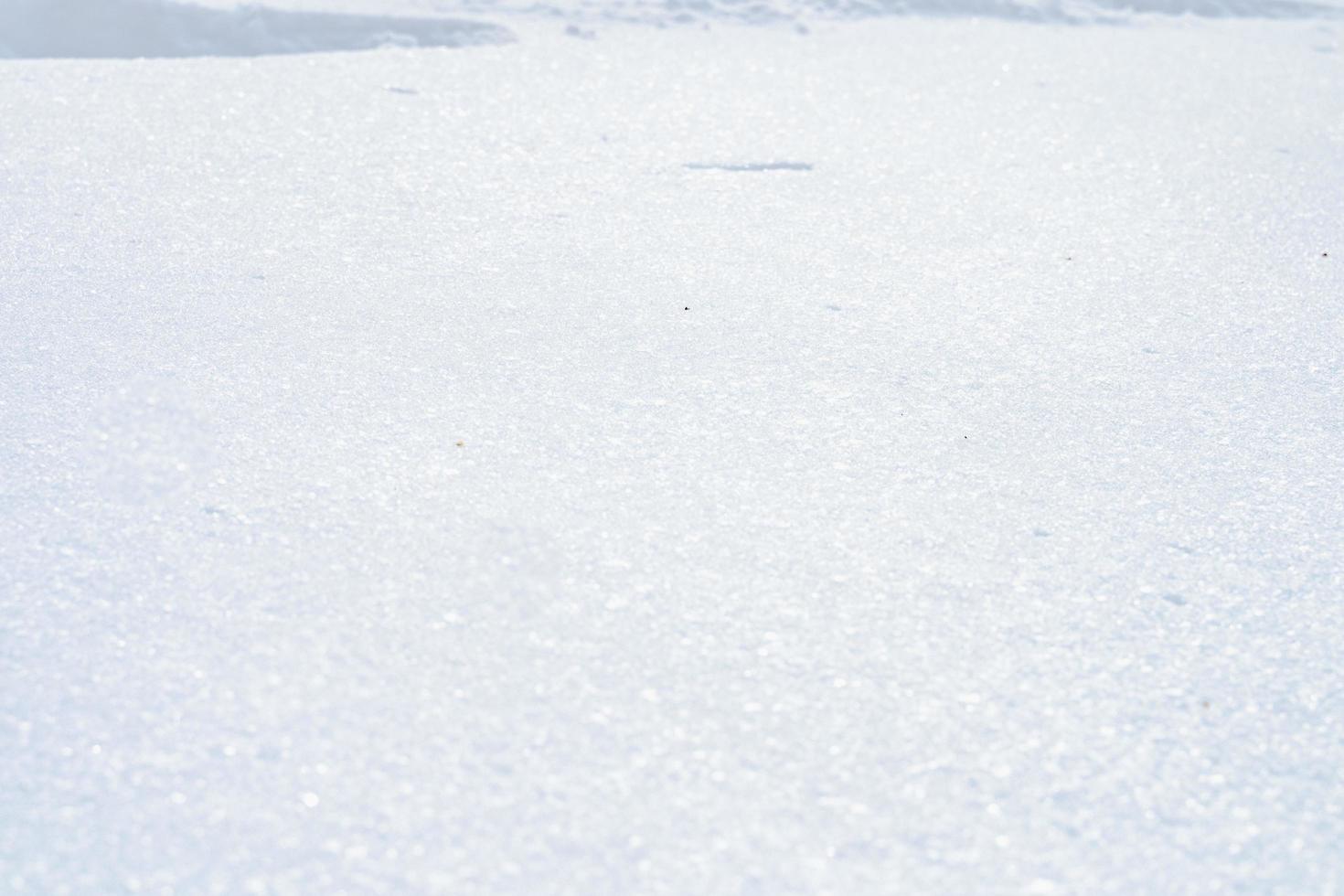 fundo de inverno com neve. fundo de férias de natal e ano novo foto