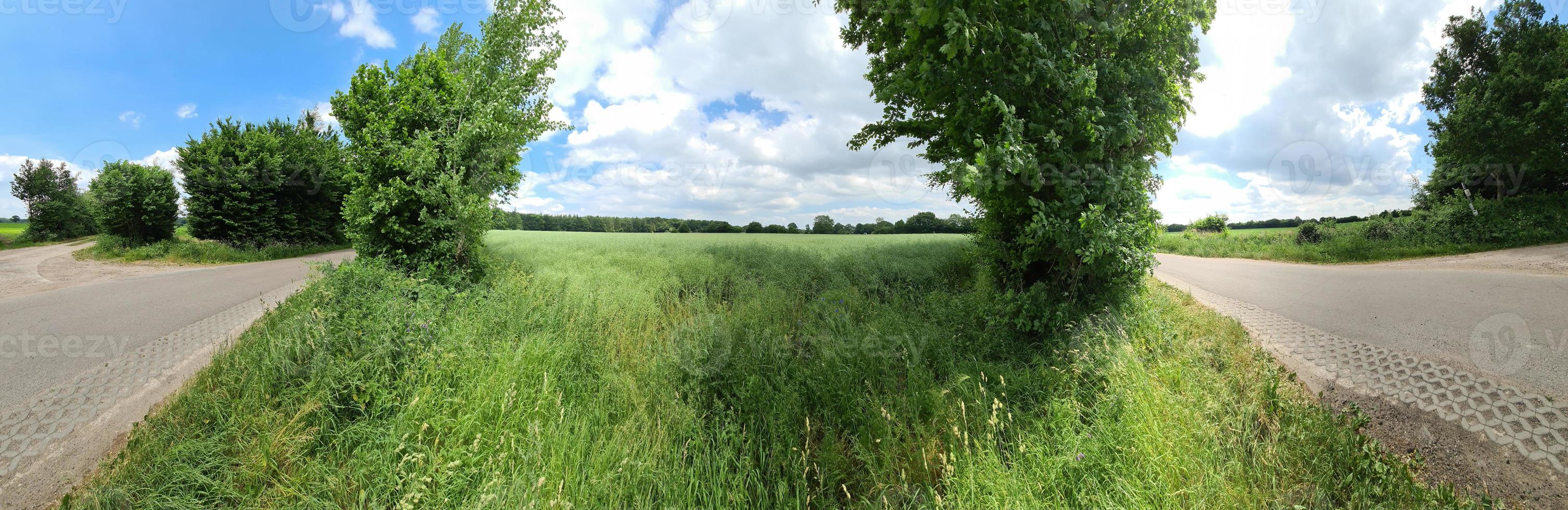 panorama de estradas rurais com campos e árvores no norte da europa. foto