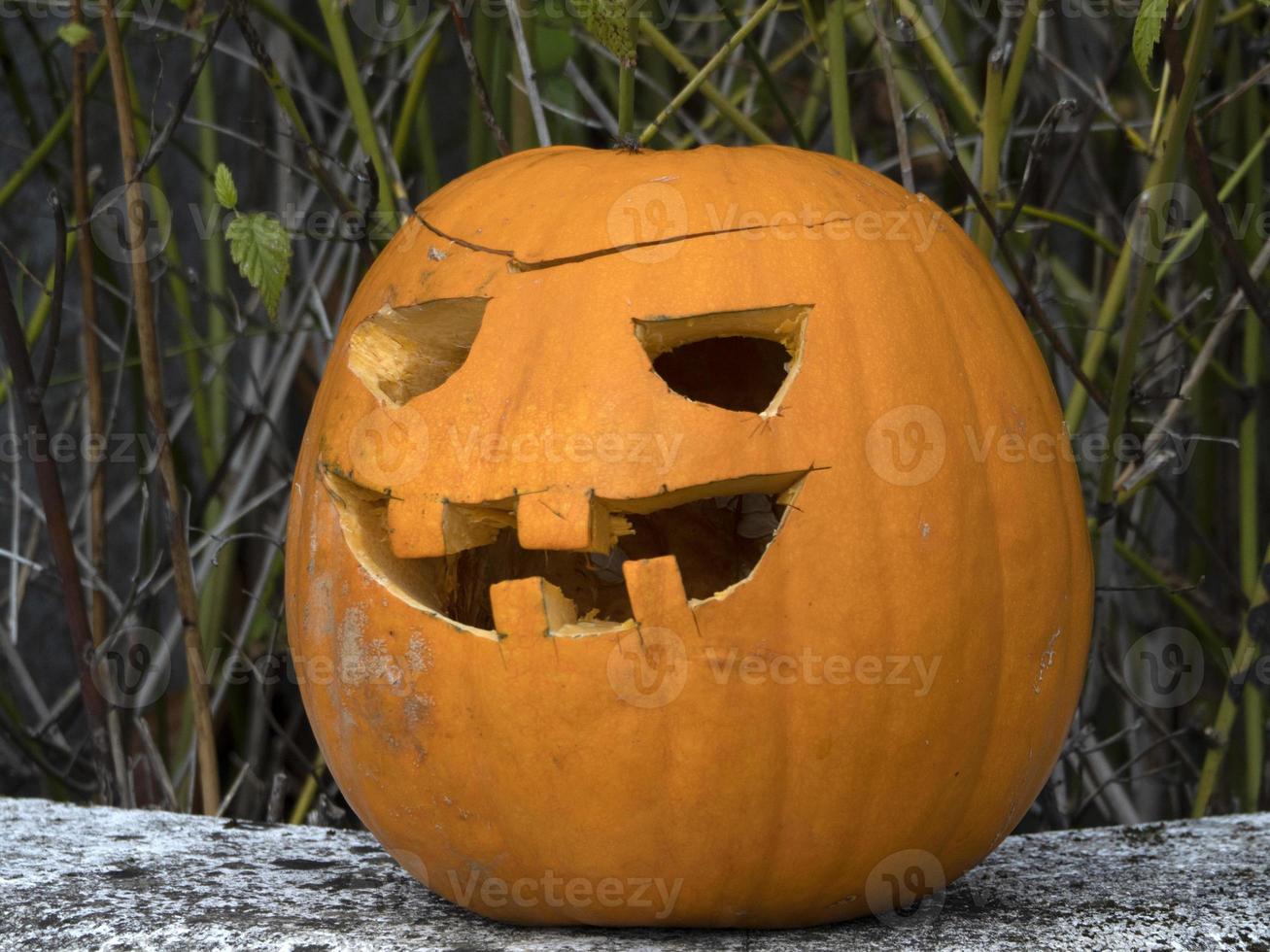 abóbora esculpida natural de halloween foto