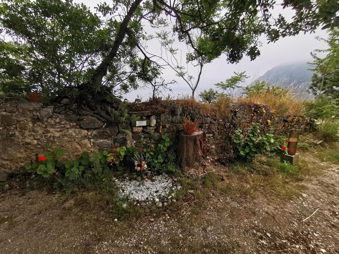 monterosso al mare, itália - 8 de junho de 2019 - vila pitoresca de cinque terre itália antigo cemitério foto