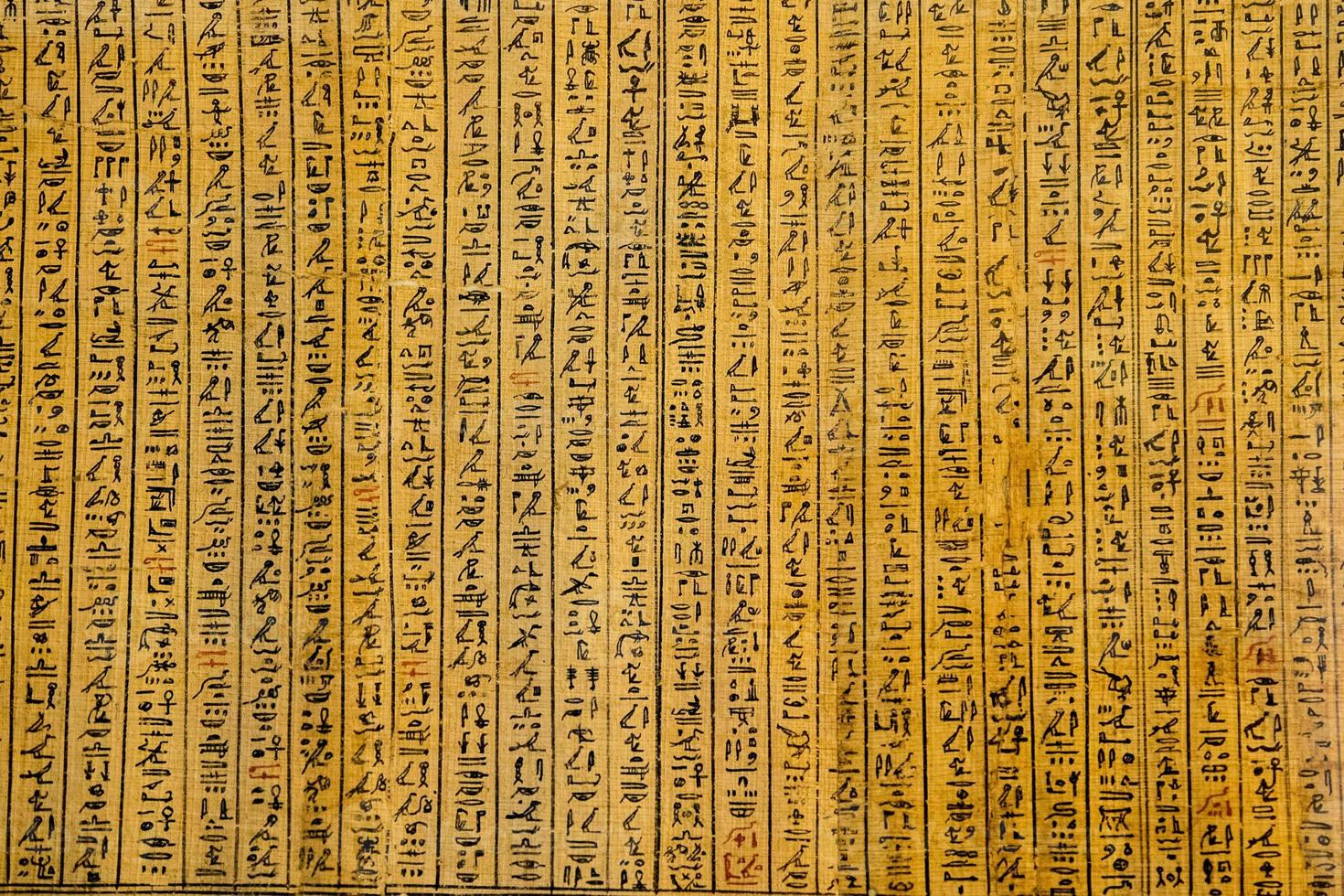 papiro do antigo livro egípcio antigo dos mortos foto