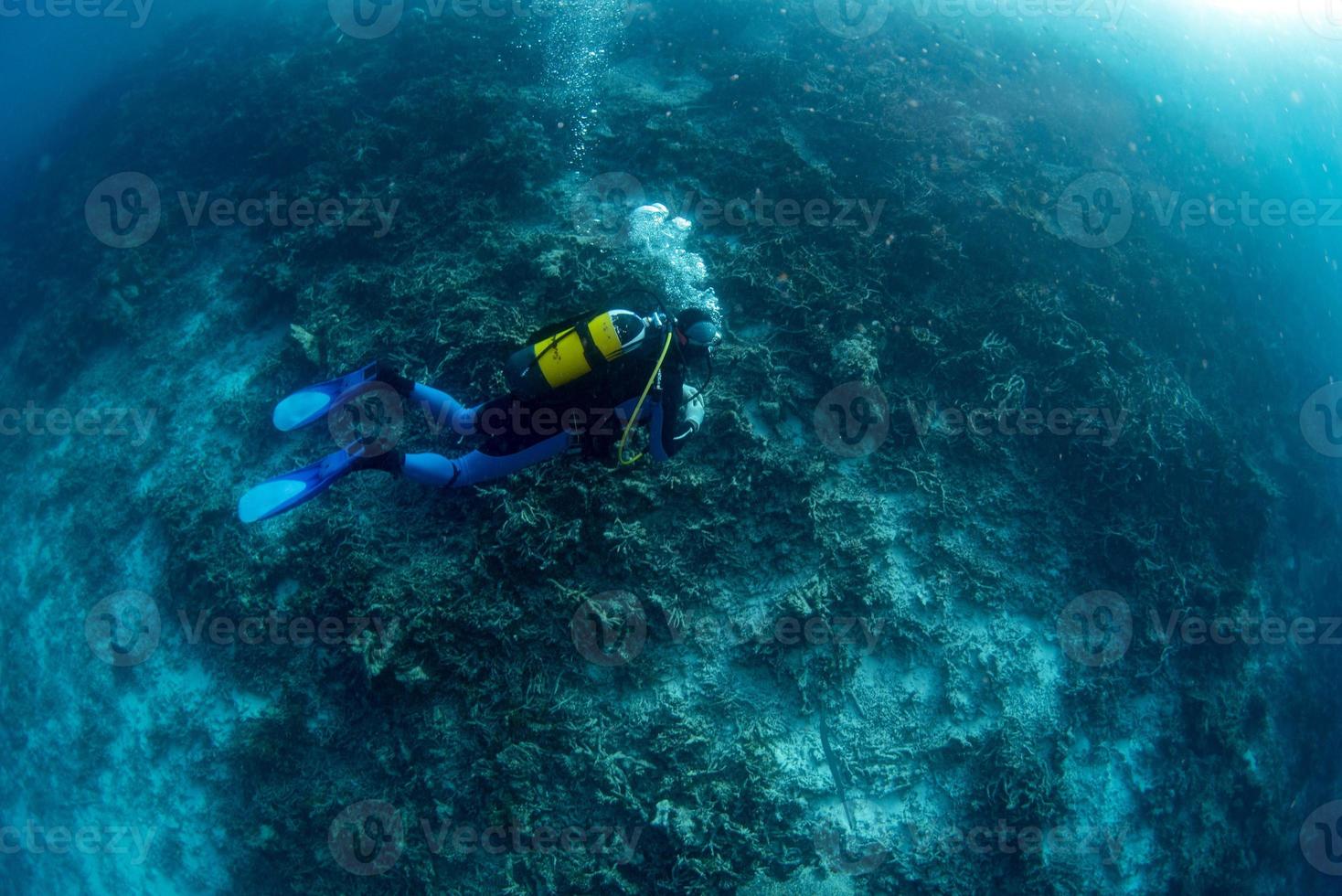 branqueamento de corais mortos de recife na Indonésia foto