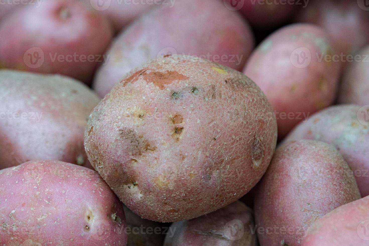 frutas e legumes orgânicos batatas foto