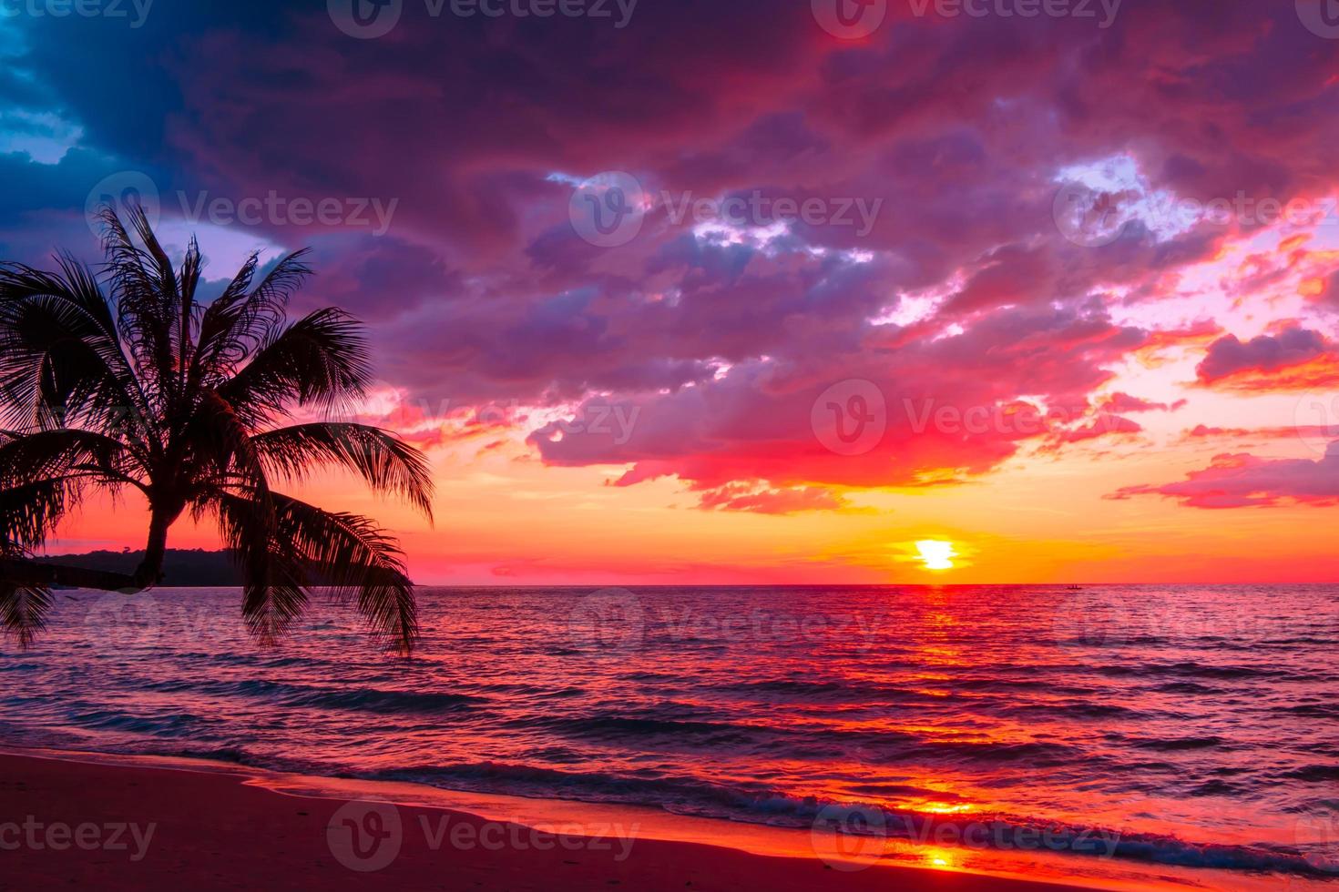 bela praia tropical do sol com palmeira e céu rosa para viagens e férias no tempo de relaxamento de férias foto