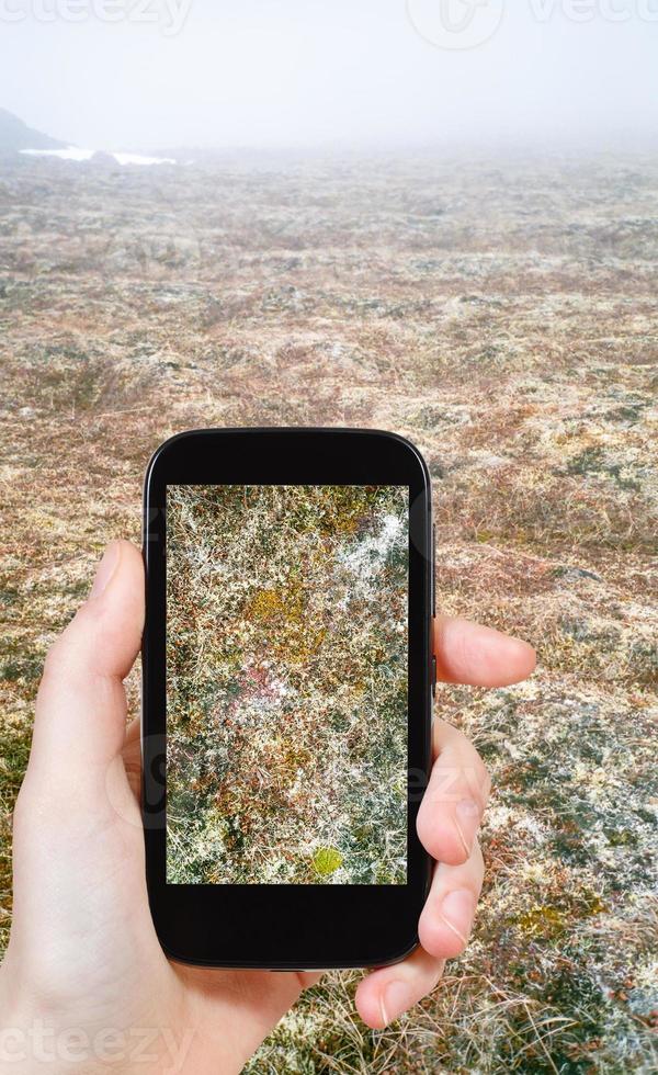 turista tirando foto de musgo na tundra ártica