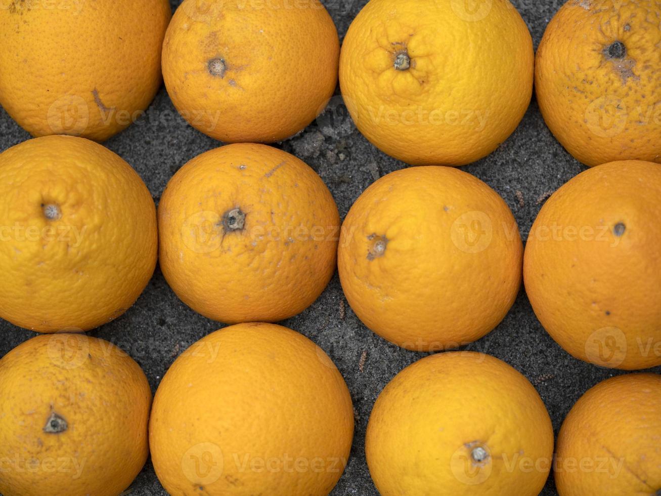 muitas laranjas italianas frescas foto