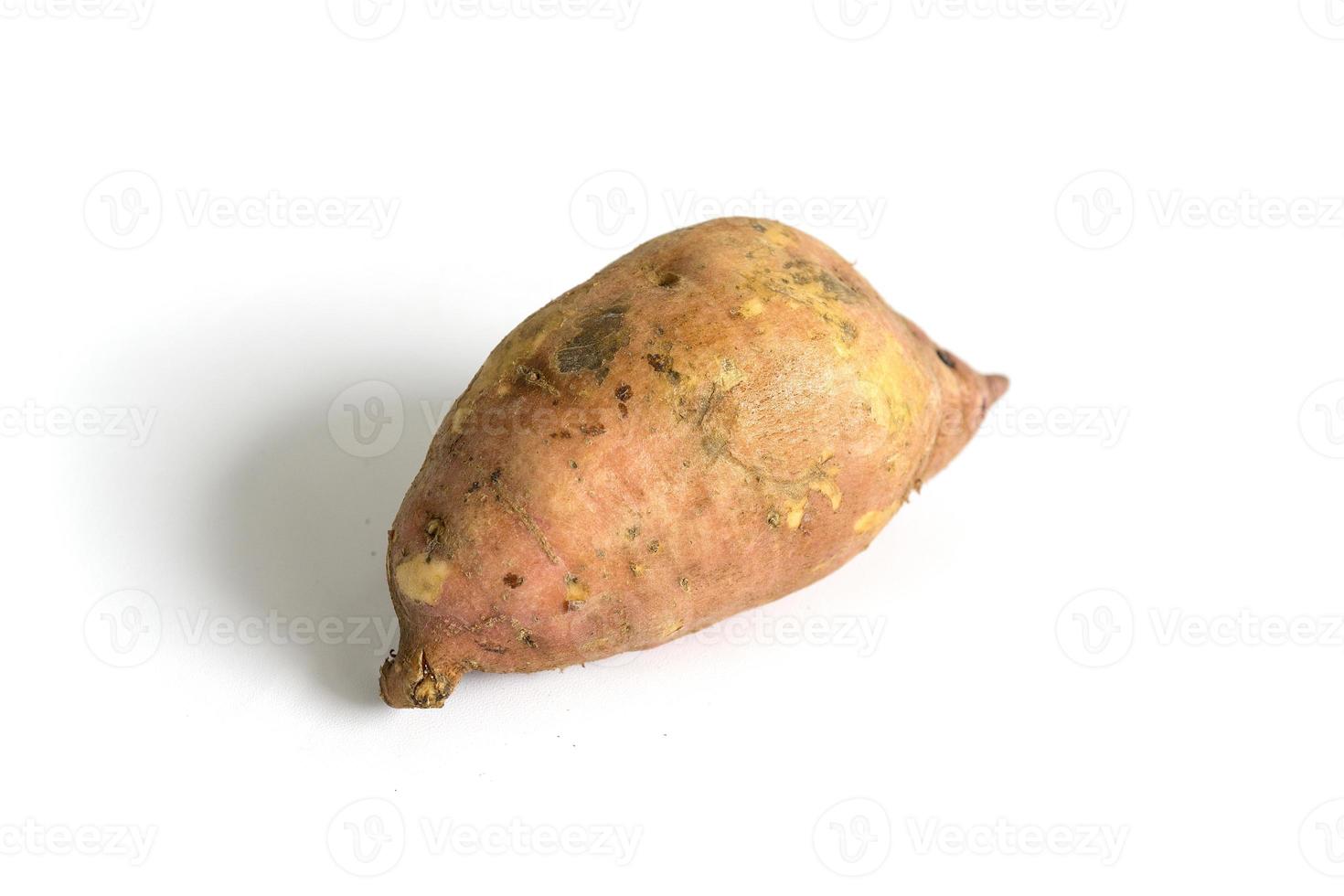 batata-doce é um tipo de planta cultivada. a parte que é usada são as raízes foto
