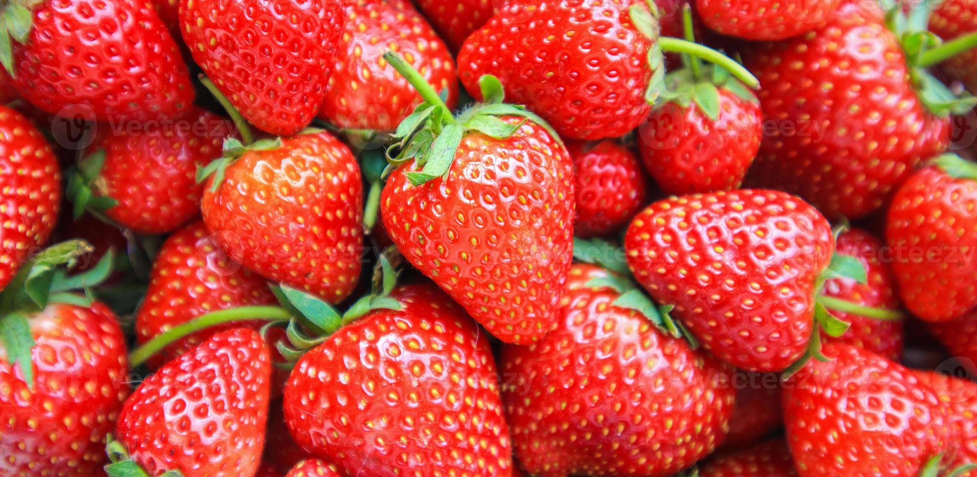 closeup de fundo de frutas morango maduras vermelhas orgânicas frescas foto