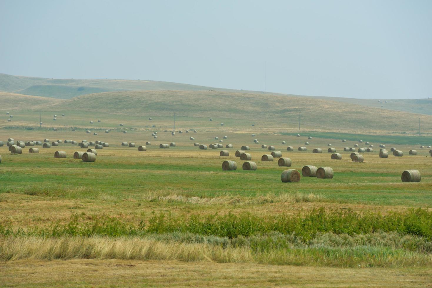 vista da paisagem de verão foto