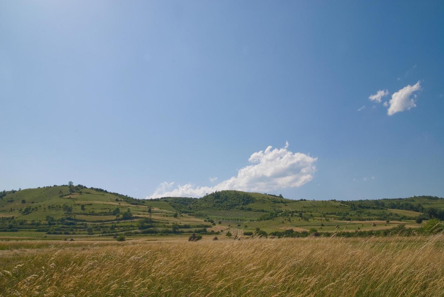 vista da paisagem de verão foto