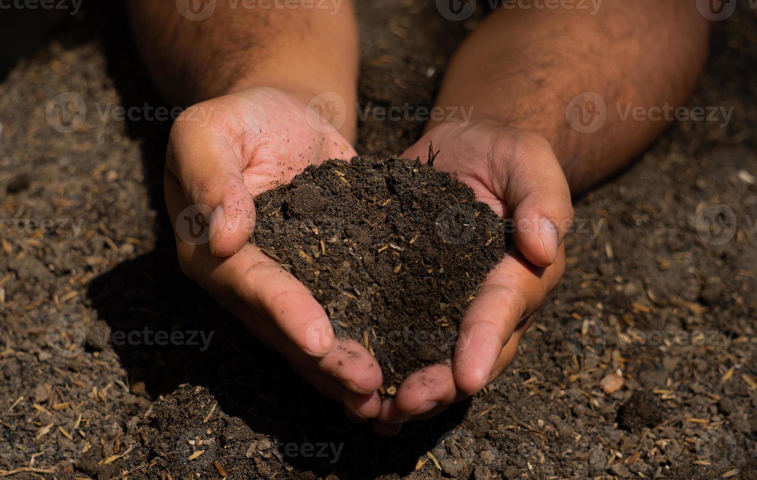 mãos seguram o solo com sementes de plantas. fotos da natureza para o meio ambiente e agricultores