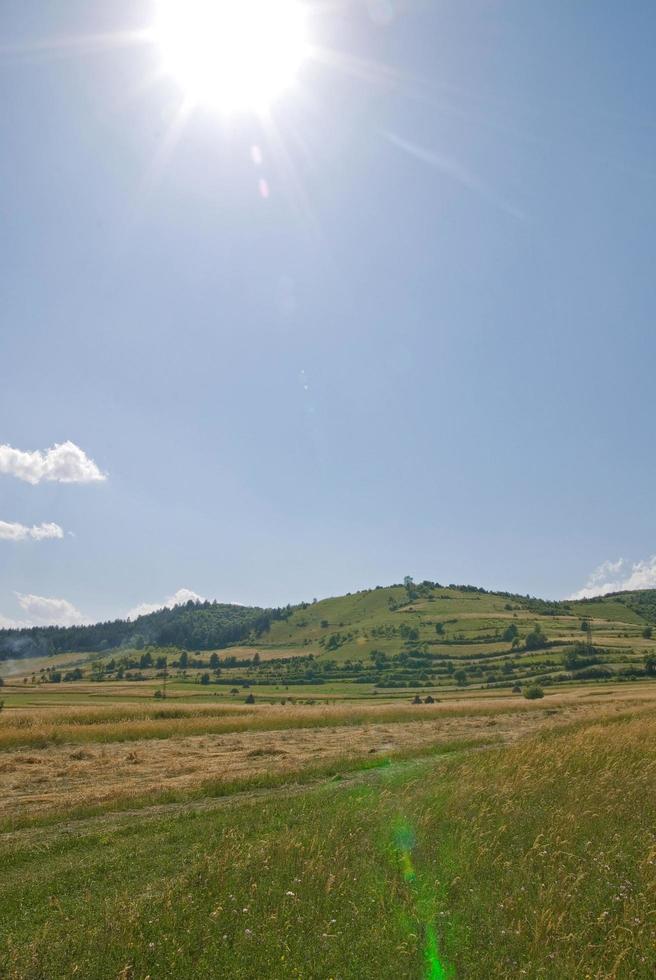 vista da paisagem de verão foto